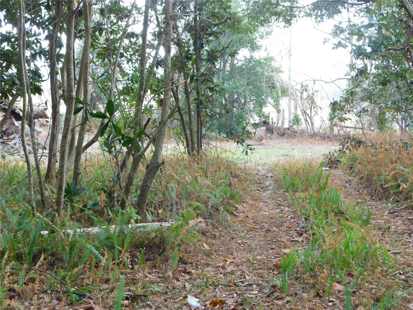 Image 5 of 22 For 40211 Friar Tuck Trail