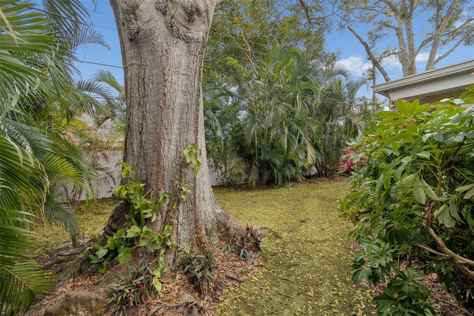 Image 69 of 81 For 2268 Indian Avenue N