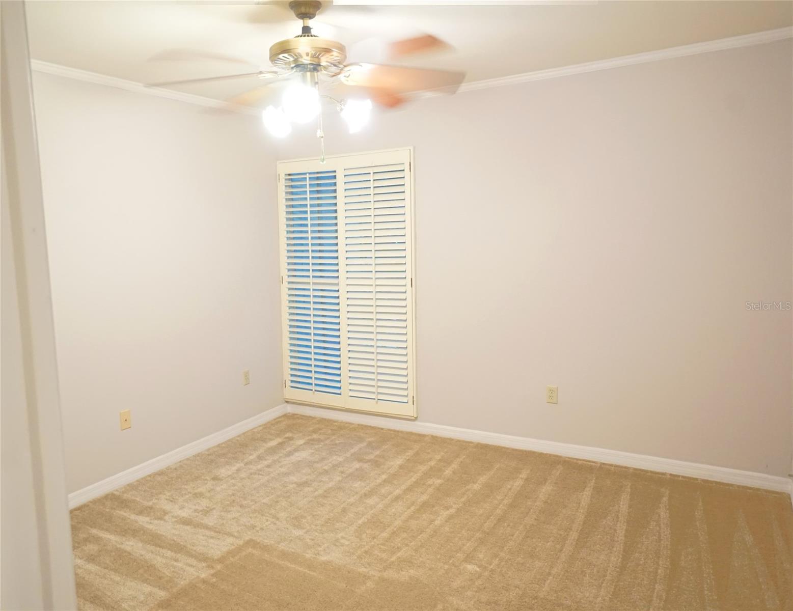 Image 5 of 16 For 3325 Bayshore Boulevard D28