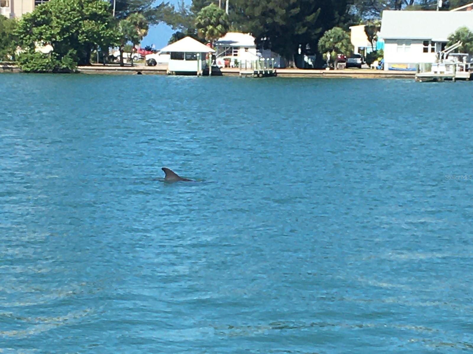 Image 19 of 23 For 10126 Tarpon Drive