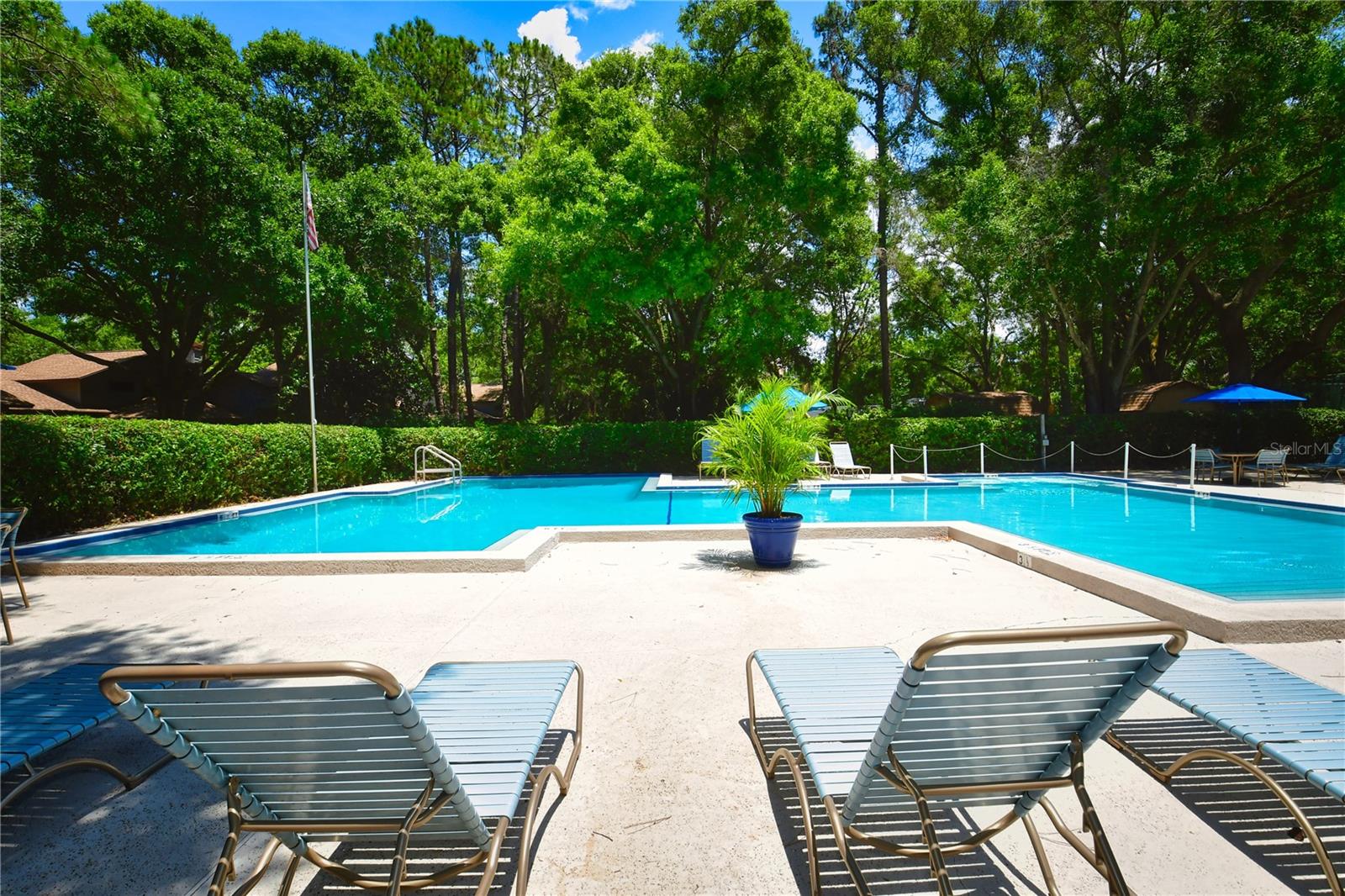 Image 35 of 38 For 11696 Parkview Lane