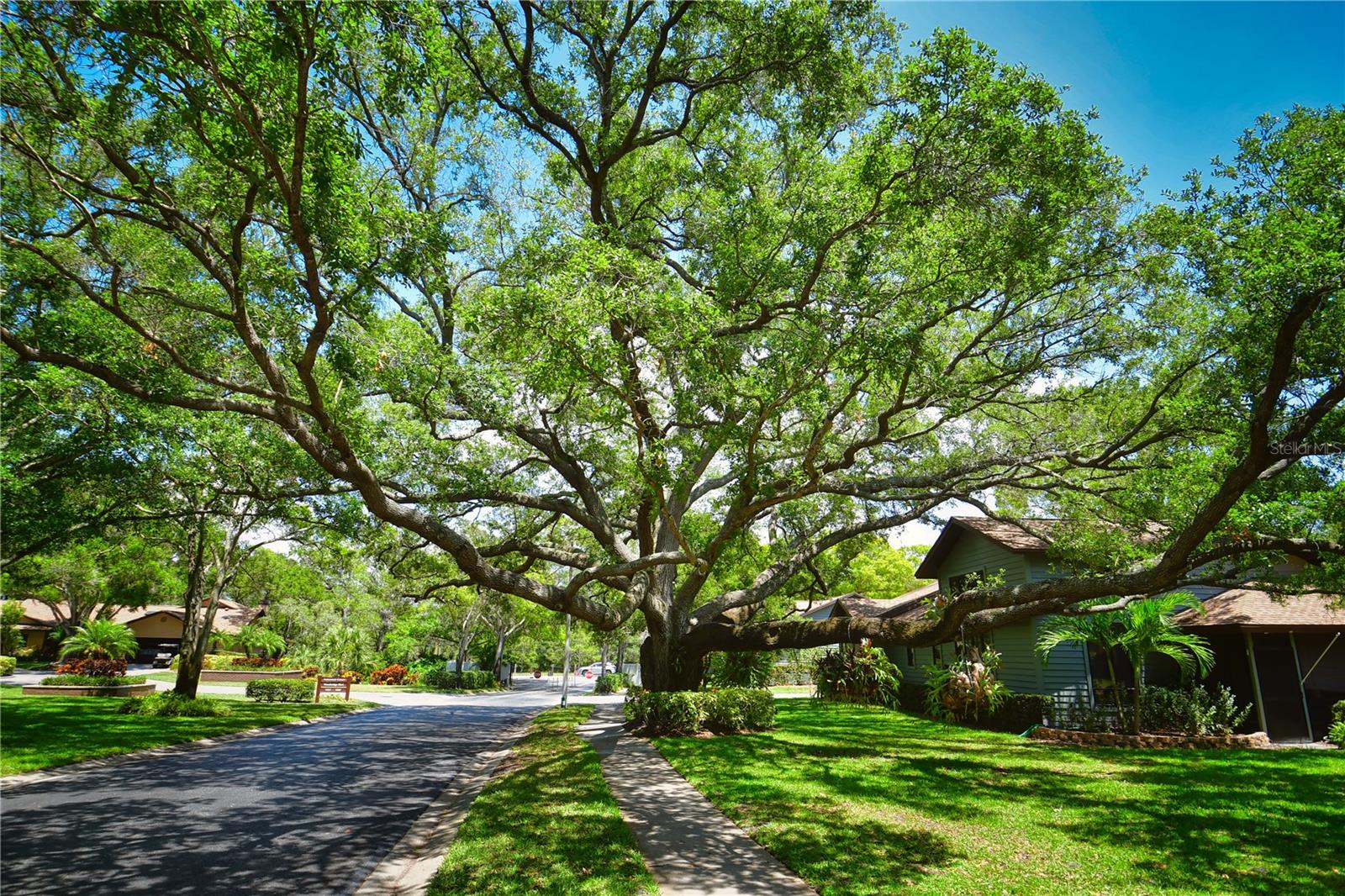 Image 38 of 38 For 11696 Parkview Lane