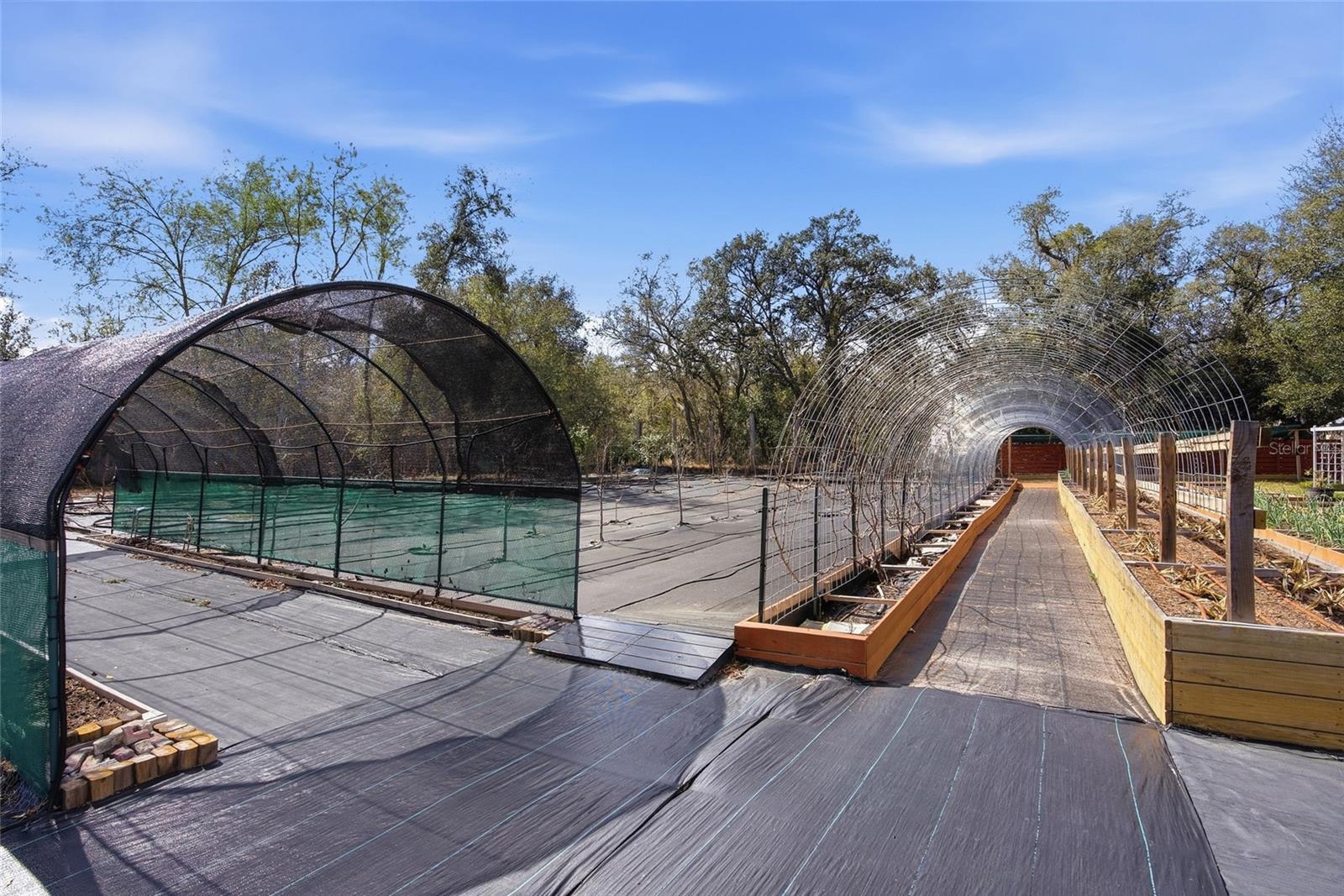 Listing photo id 36 for 16090 Fringe Tree Drive