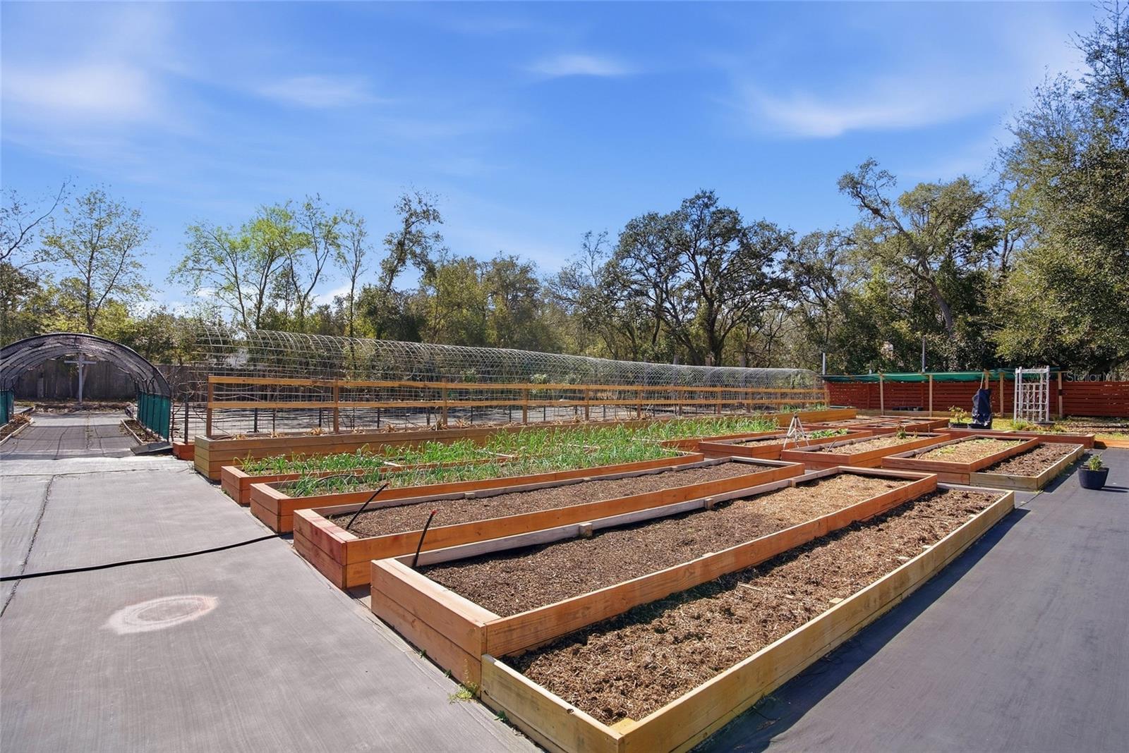 Listing photo id 37 for 16090 Fringe Tree Drive