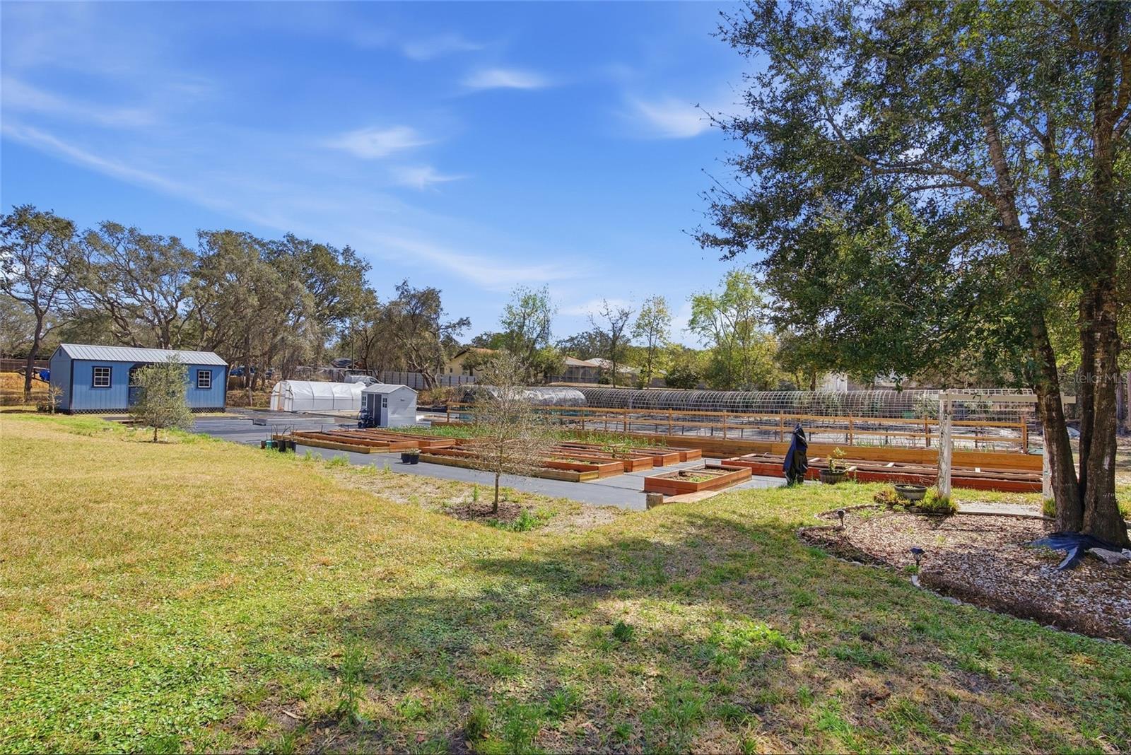 Listing photo id 39 for 16090 Fringe Tree Drive