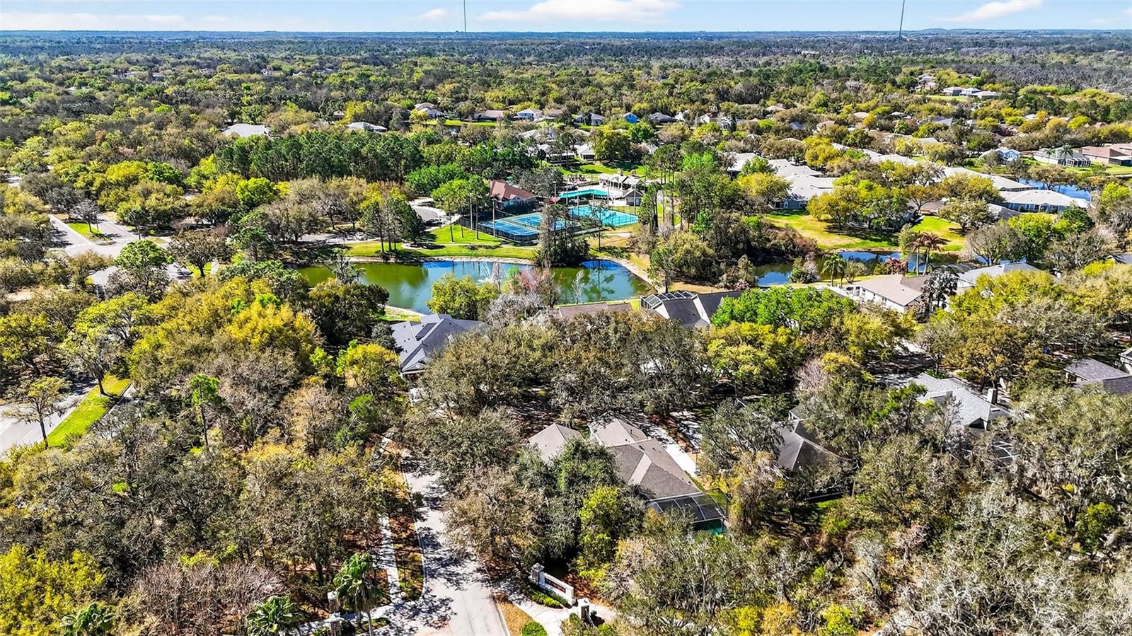 Image 75 of 81 For 15036 Eaglerise Drive