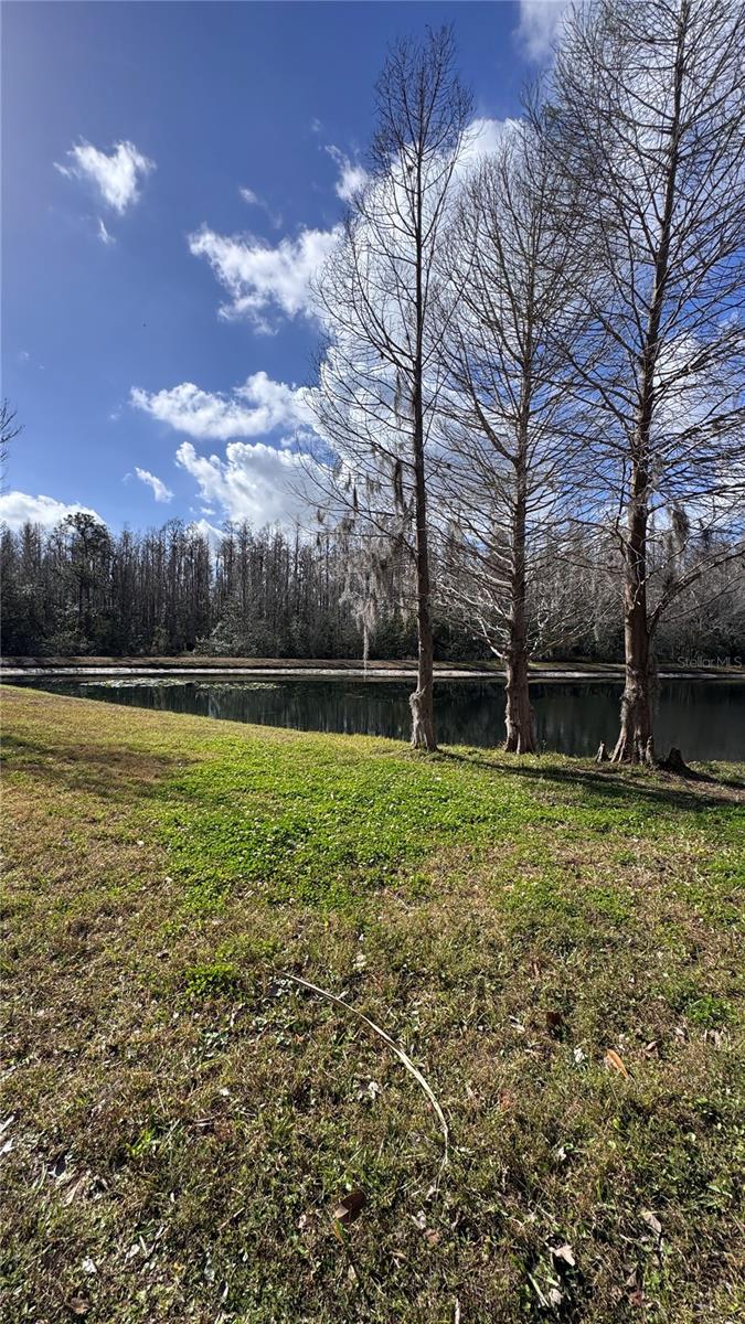 Image 4 of 41 For 31154 Flannery Court