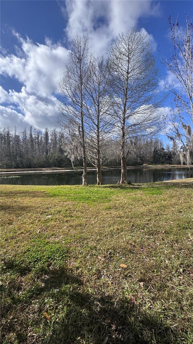 Image 5 of 41 For 31154 Flannery Court