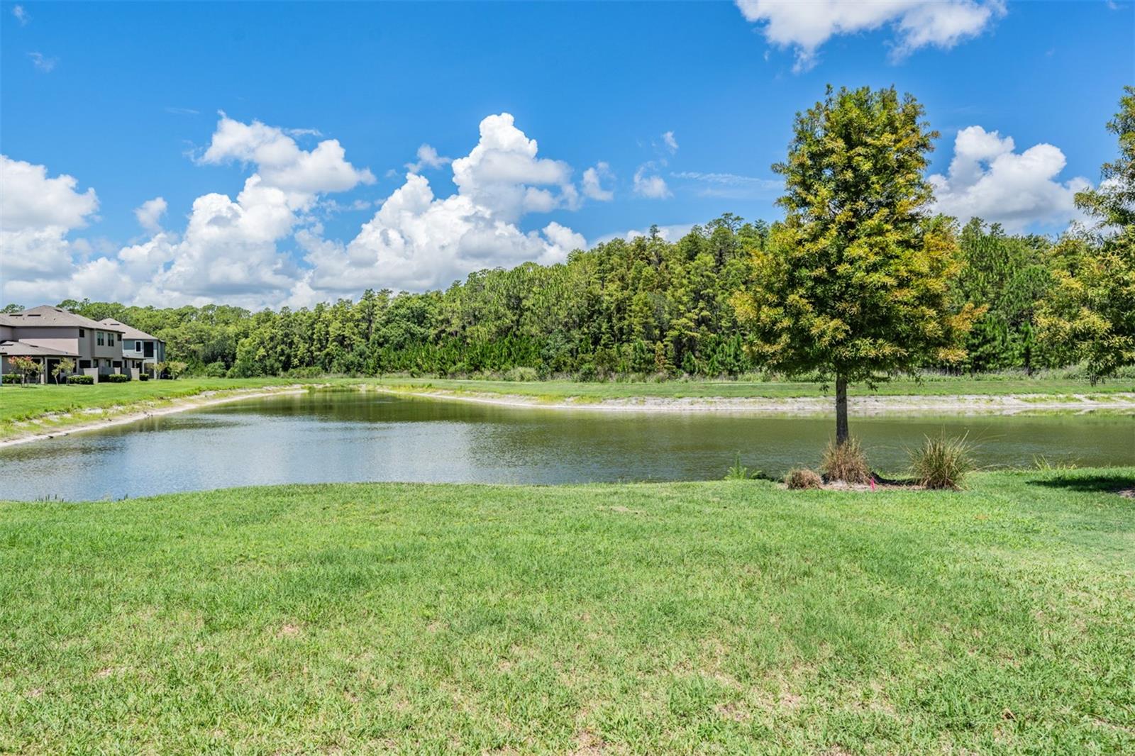 Listing photo id 23 for 4849 Isola Court