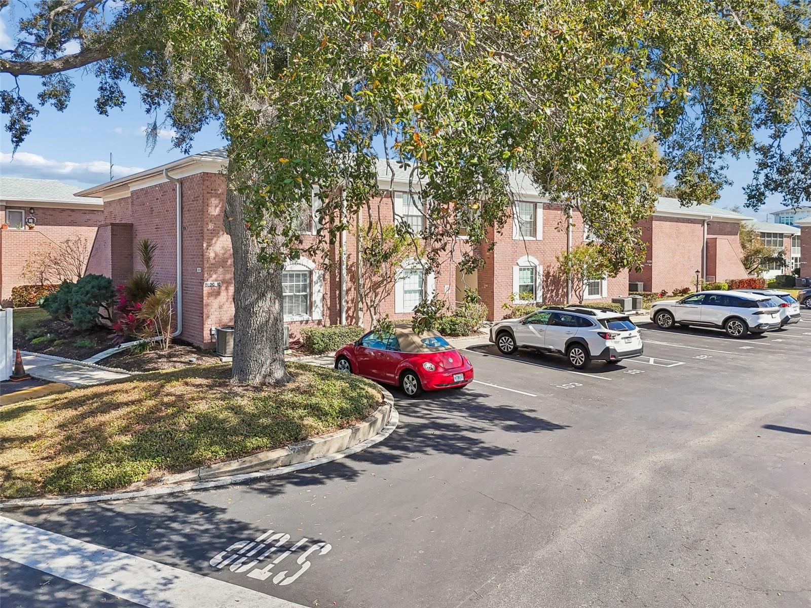 Image 2 of 37 For 3838 37th Street S 59