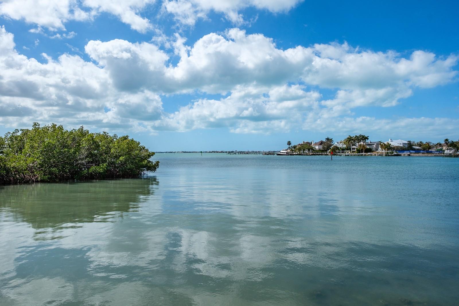 Image 66 of 72 For 8 Belleview Boulevard 108