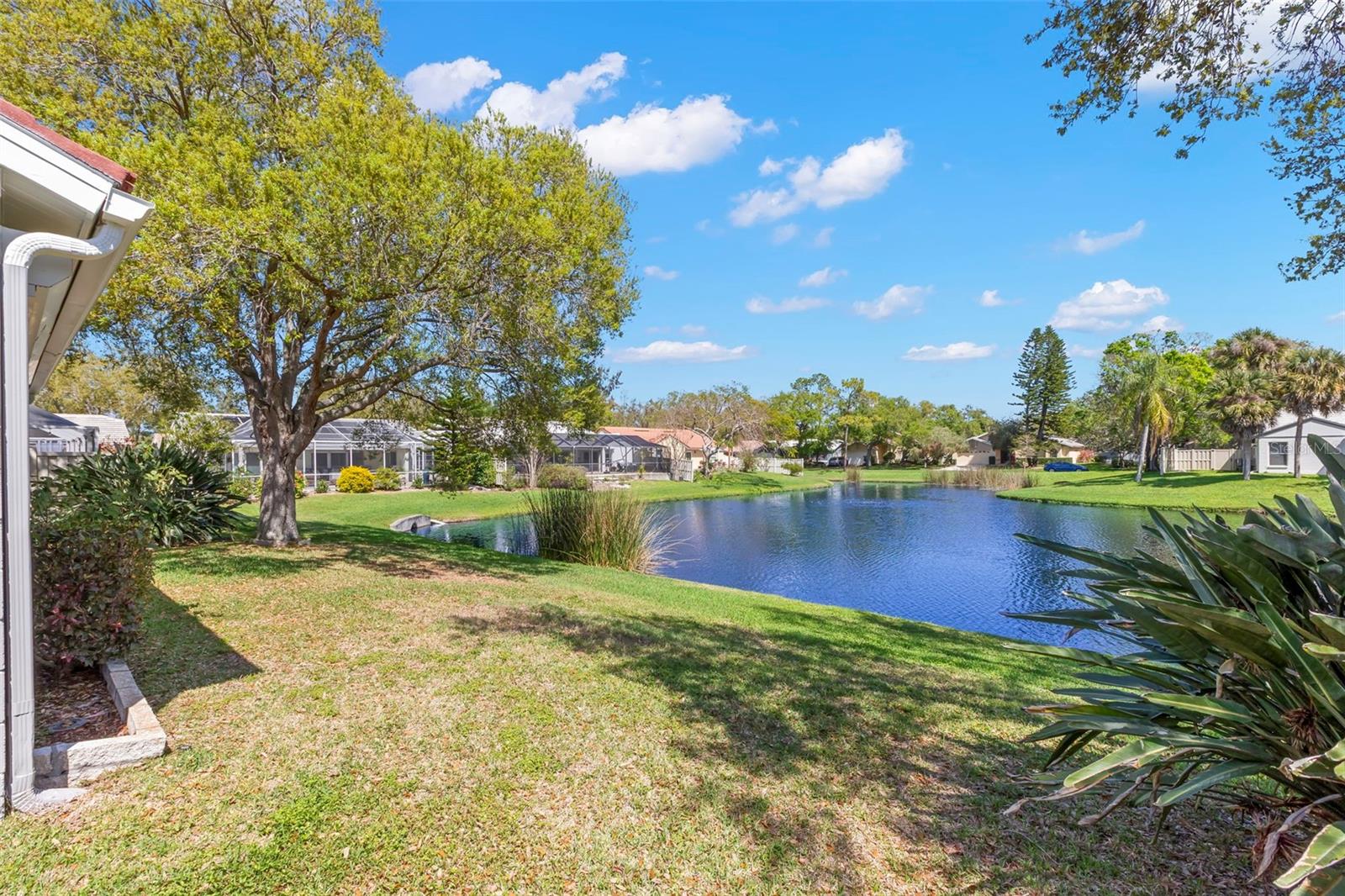 Image 15 of 50 For 523 Padua Circle Ne