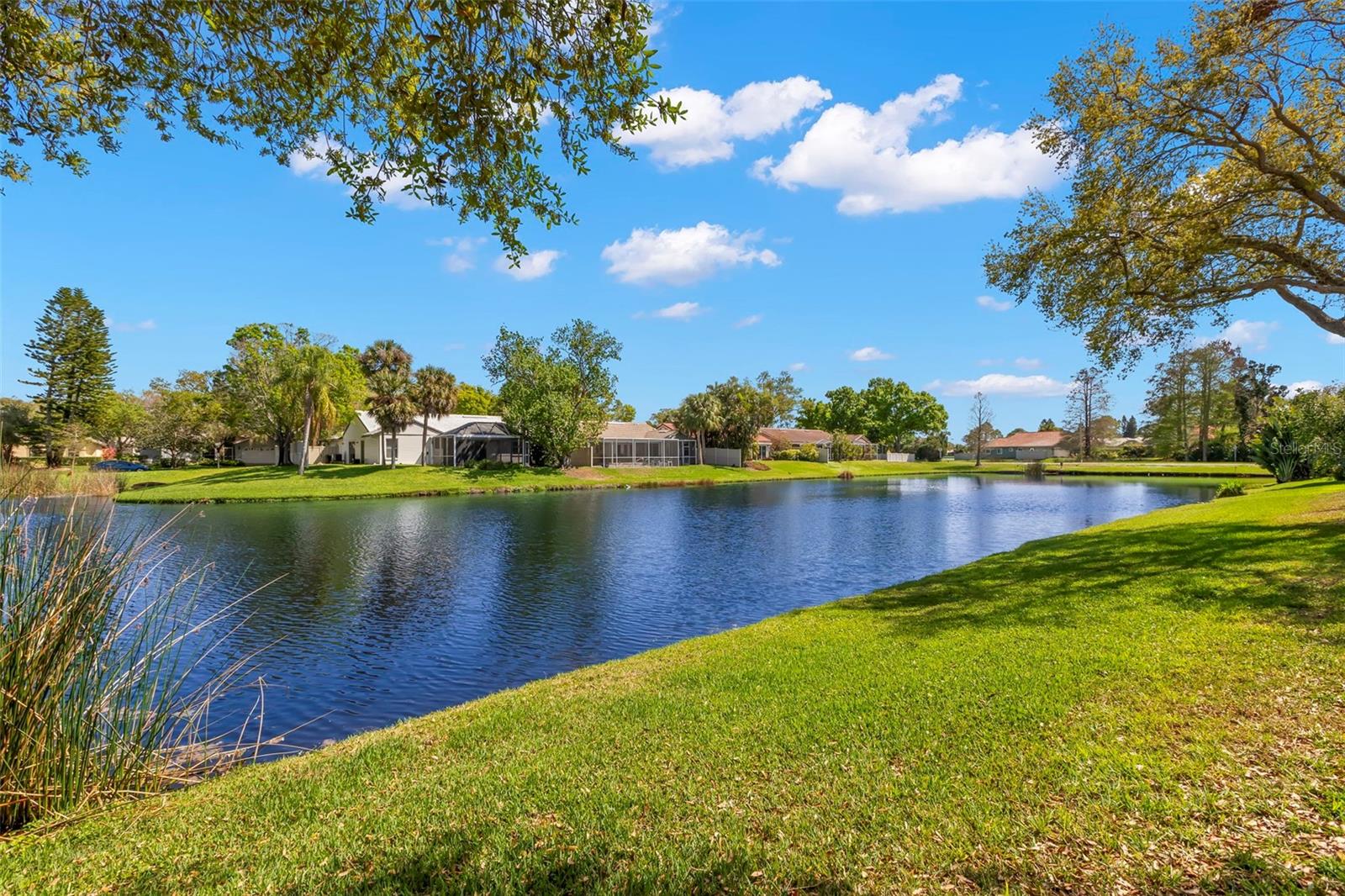 Image 16 of 50 For 523 Padua Circle Ne