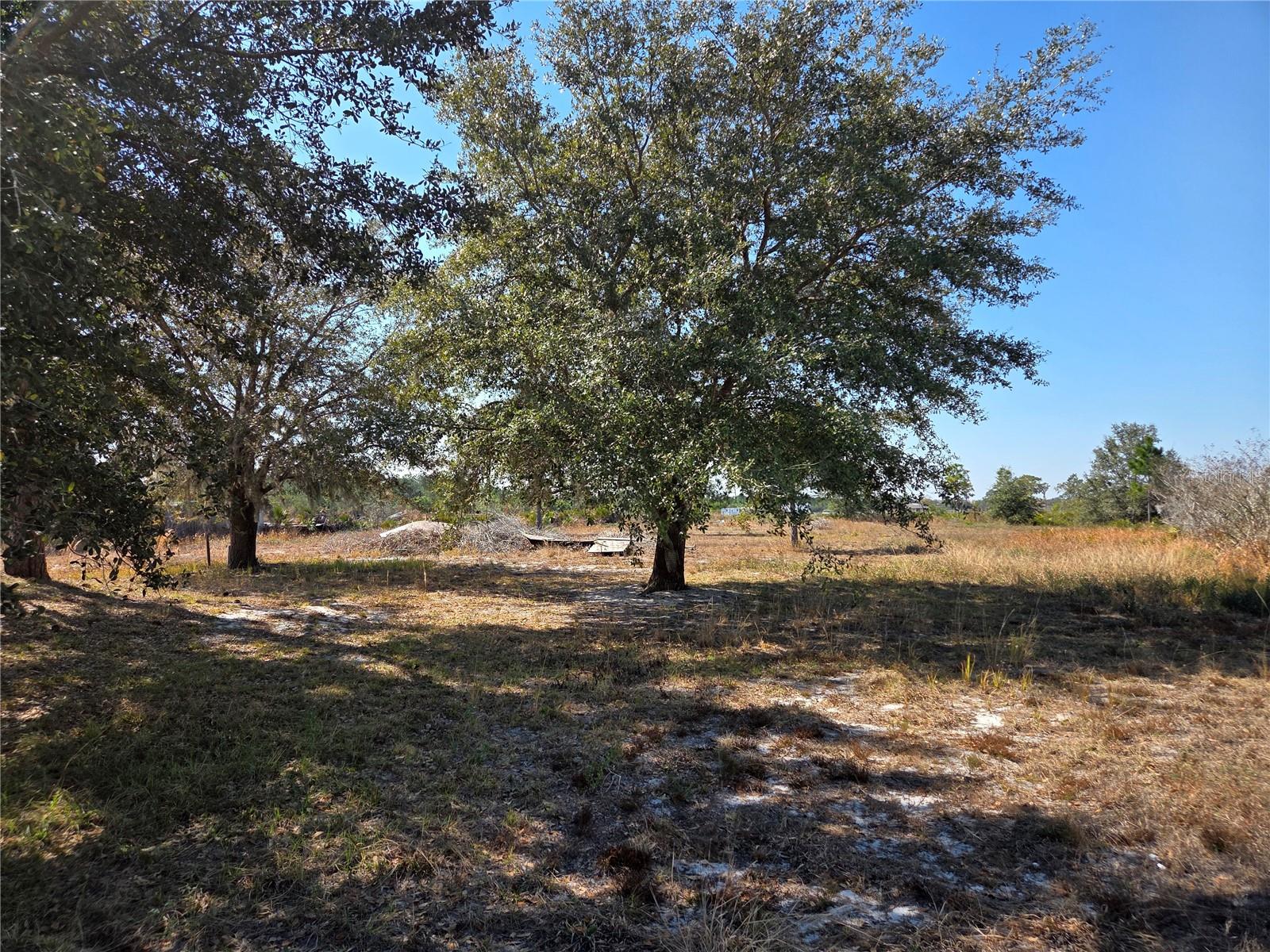 Image 16 of 23 For 1040 Frostproof Road