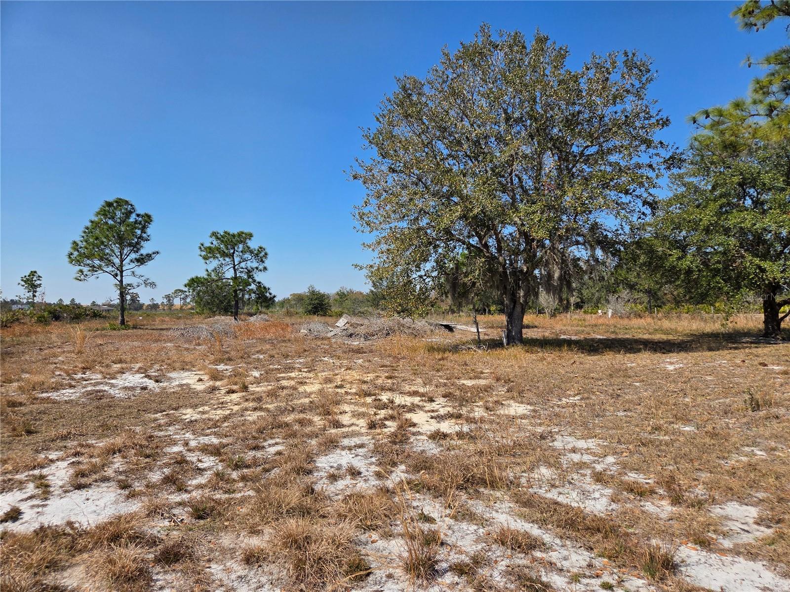 Image 21 of 23 For 1040 Frostproof Road