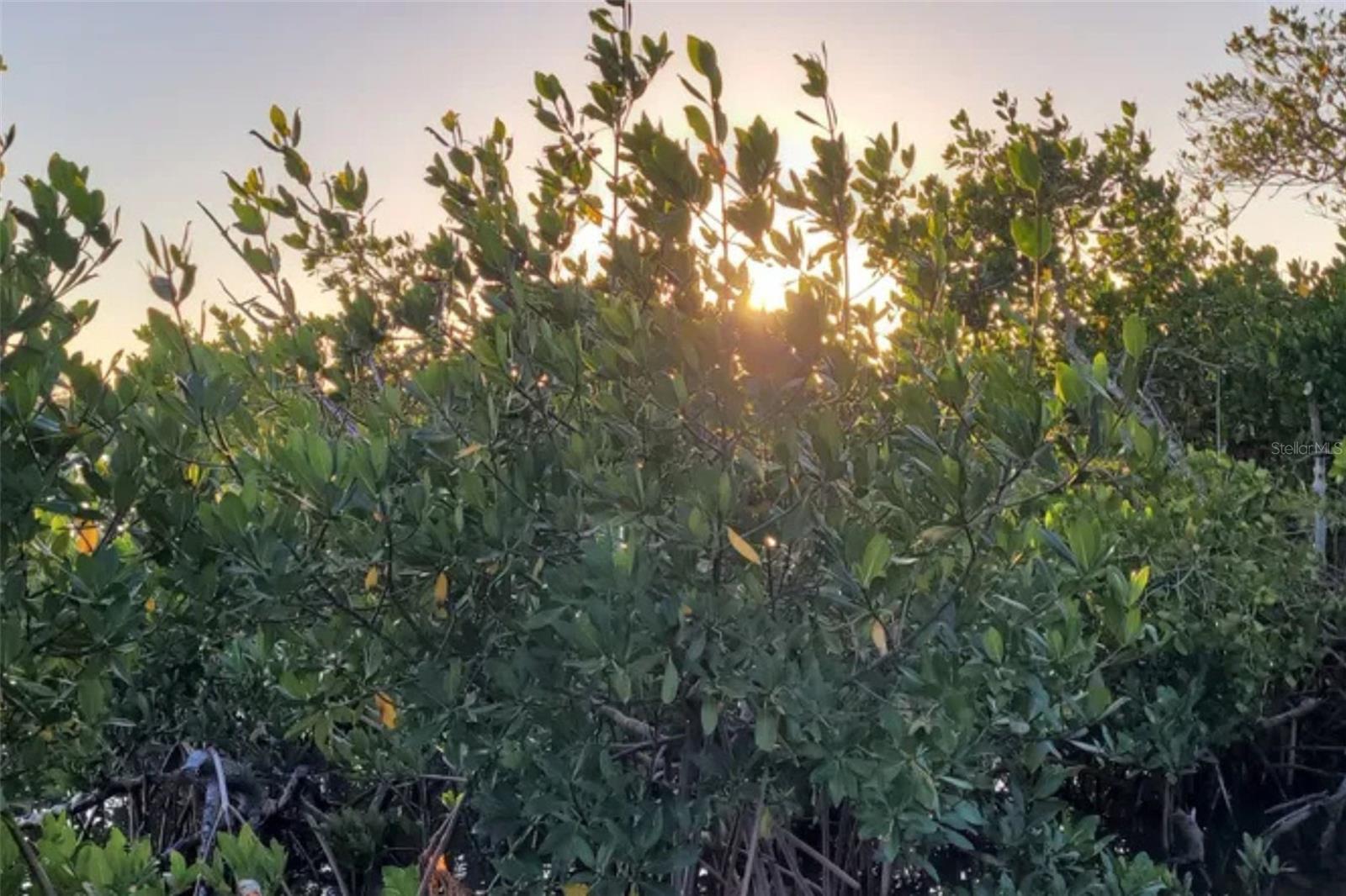 Listing photo id 14 for 13798 74th Avenue