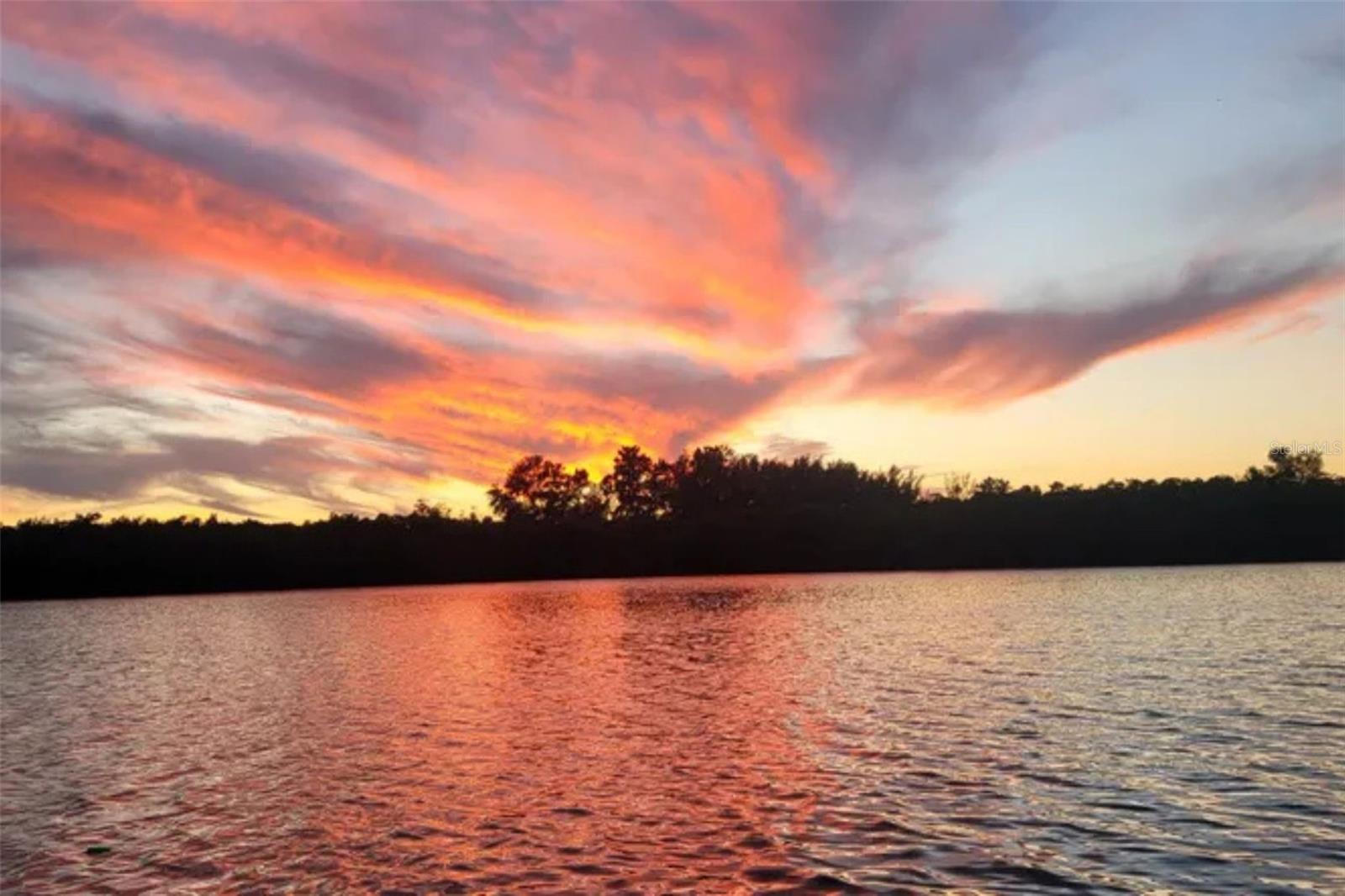 Listing photo id 3 for 13798 74th Avenue