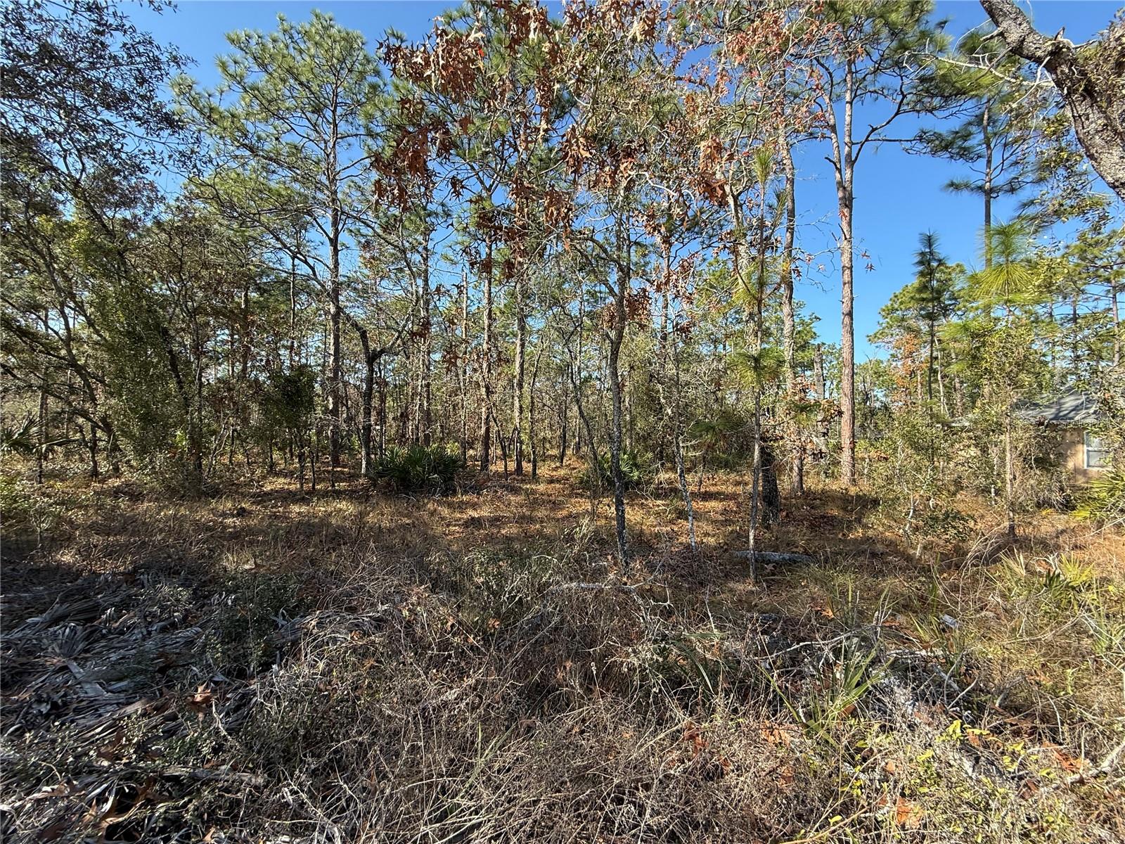 Image 4 of 4 For 0 Macassar Road