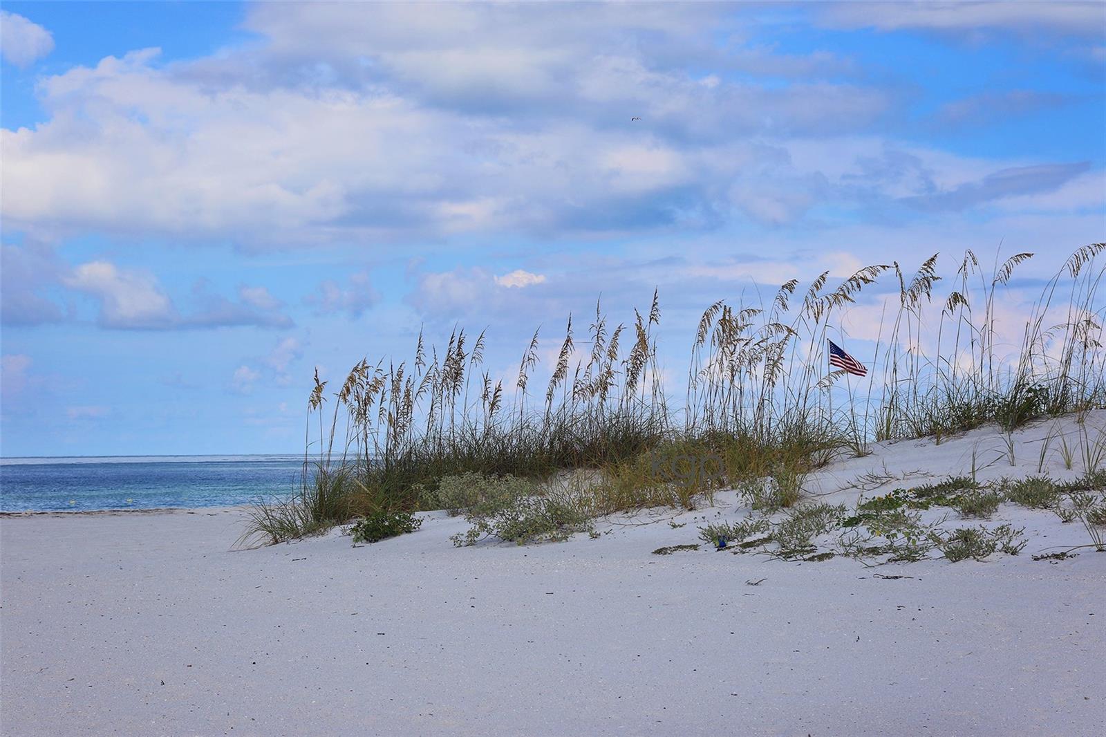 Image 44 of 46 For 5347 81st Lane 24