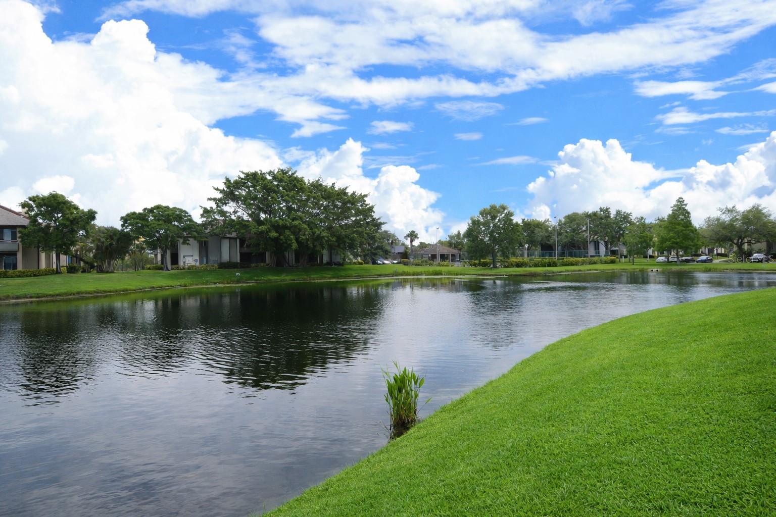 Image 54 of 100 For 10265 Gandy Boulevard N 1711