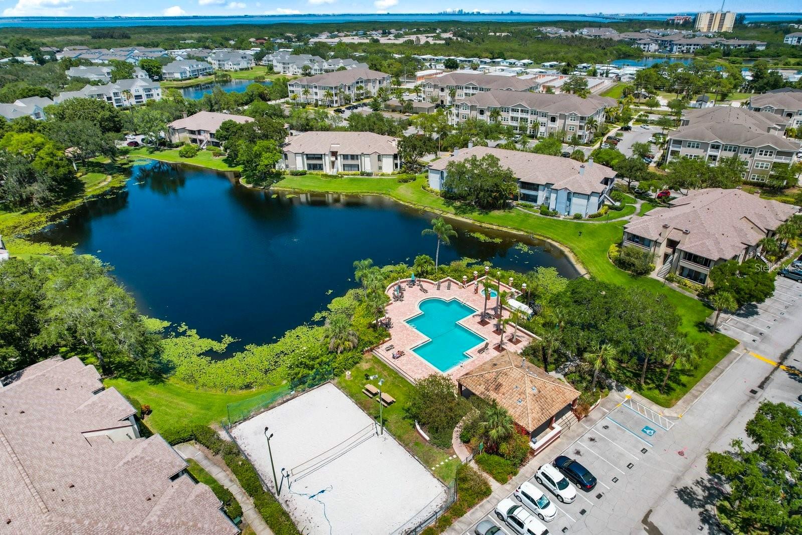 Image 66 of 100 For 10265 Gandy Boulevard N 1711