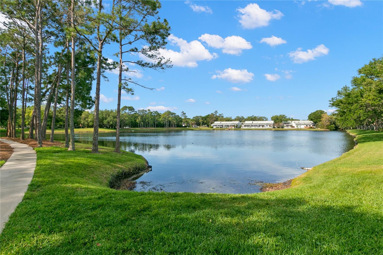 Image 41 of 55 For 3079 Branch Drive