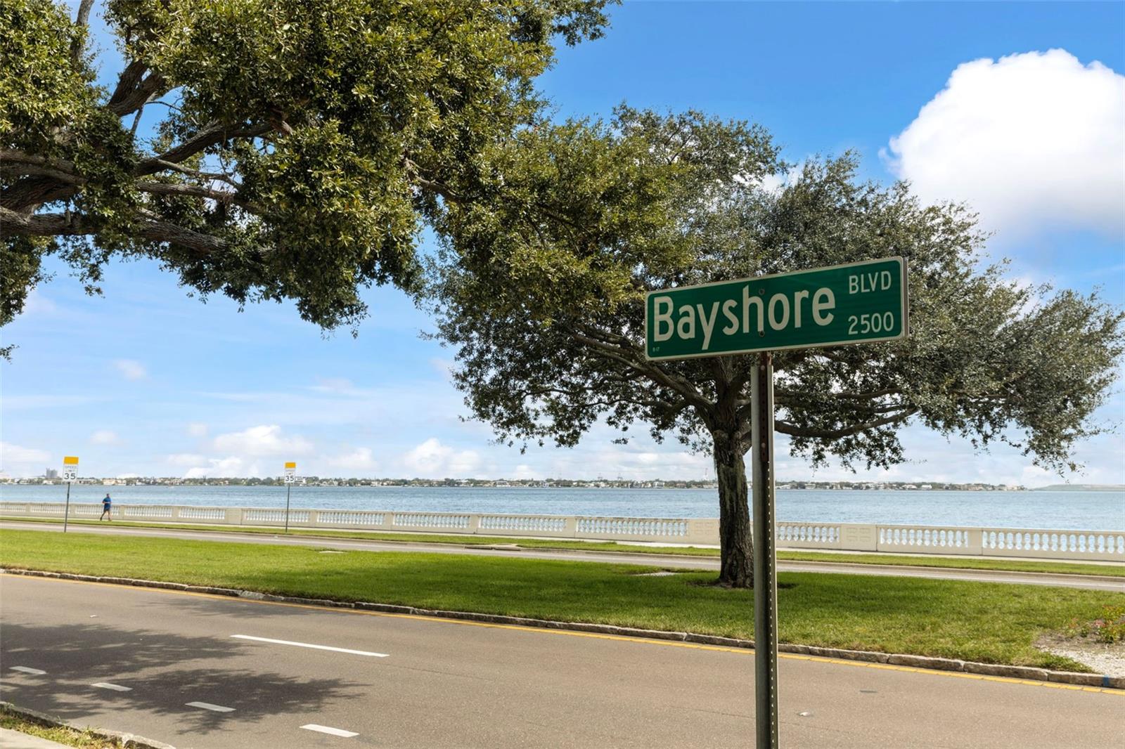 Image 29 of 33 For 4141 Bayshore Boulevard 306