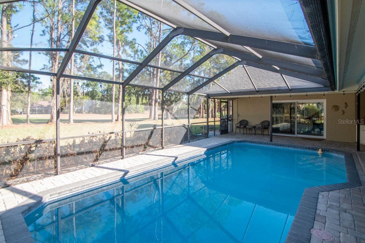 Listing photo id 36 for 3910 Turkey Oak Drive