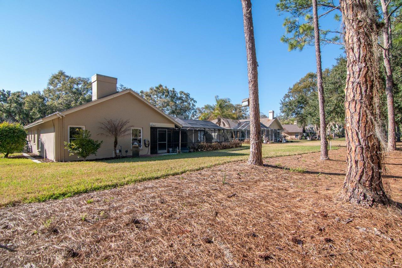 Listing photo id 43 for 3910 Turkey Oak Drive