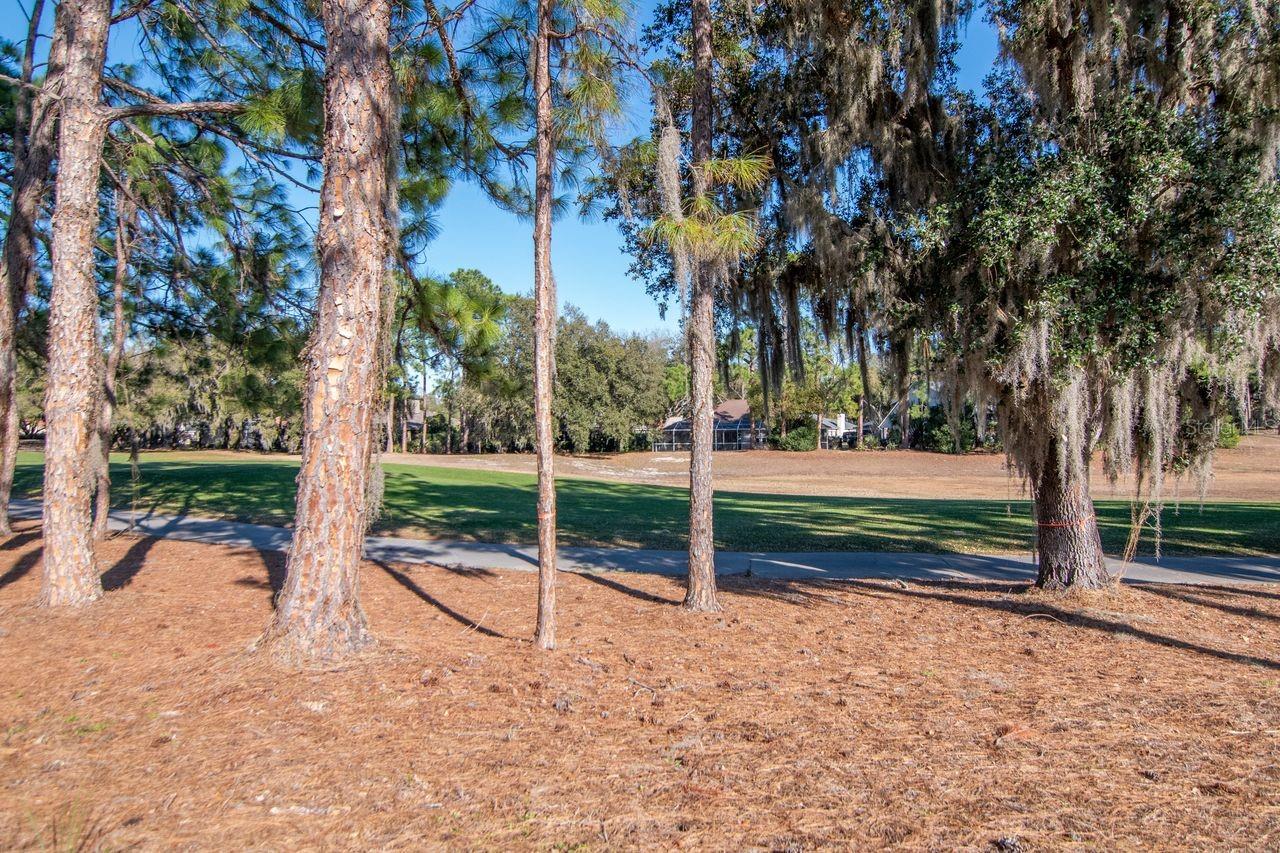 Listing photo id 45 for 3910 Turkey Oak Drive