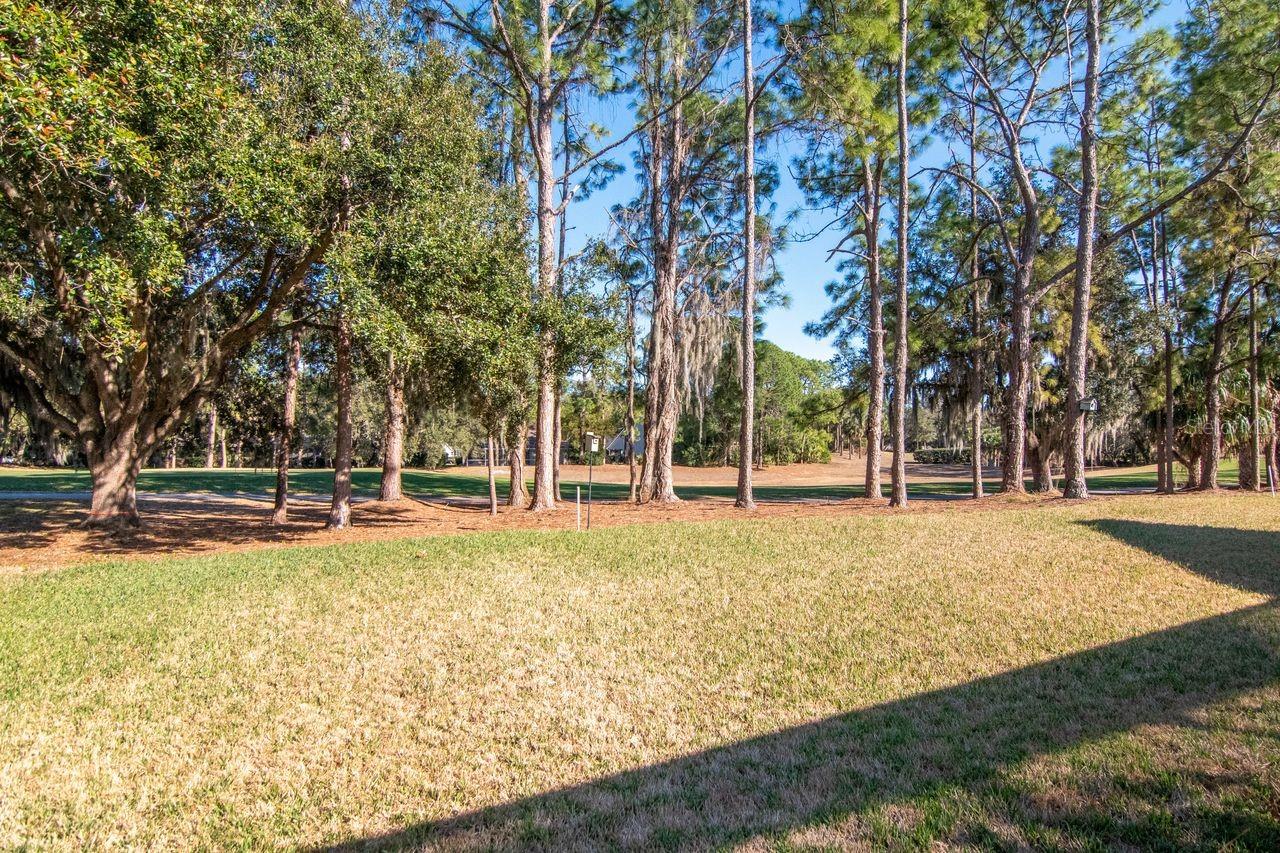 Listing photo id 46 for 3910 Turkey Oak Drive