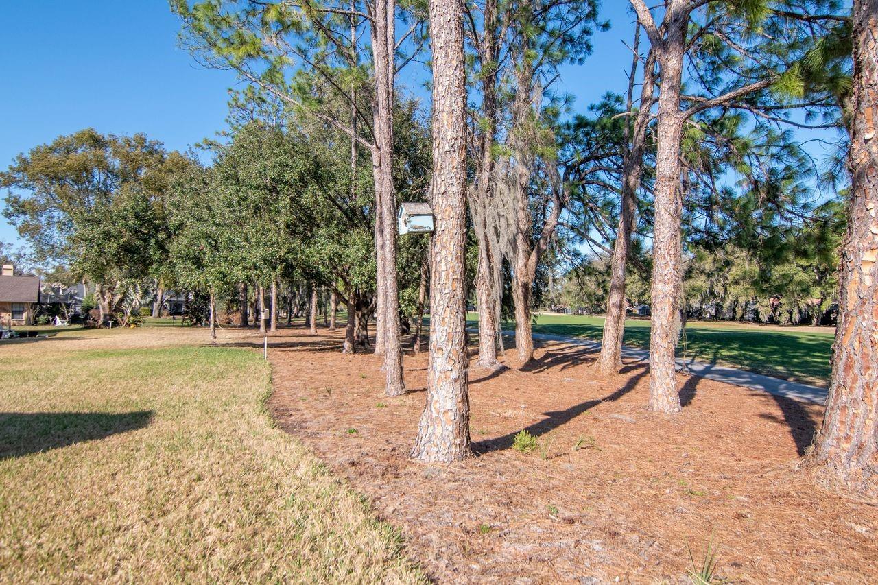 Listing photo id 47 for 3910 Turkey Oak Drive