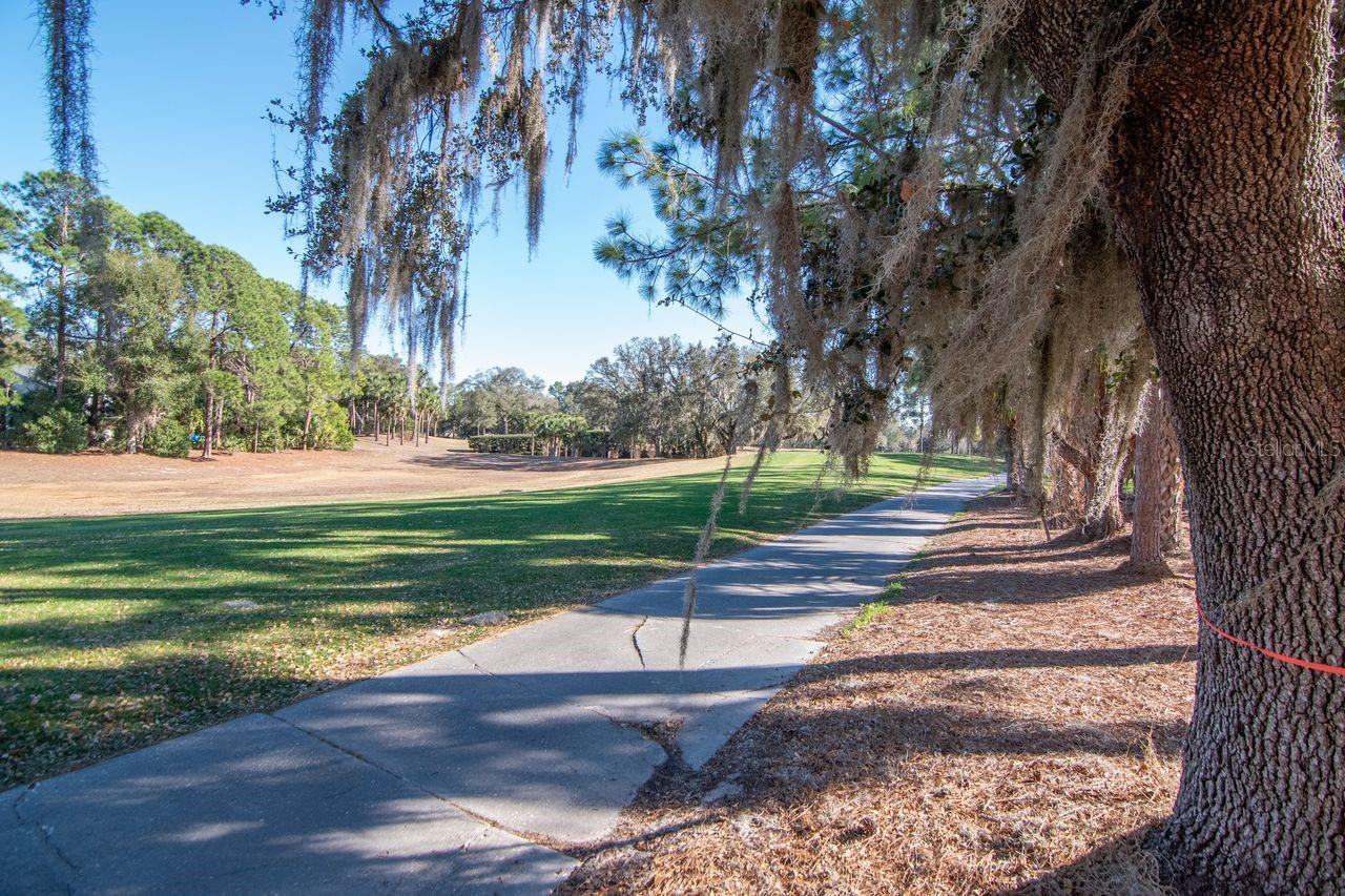 Listing photo id 48 for 3910 Turkey Oak Drive