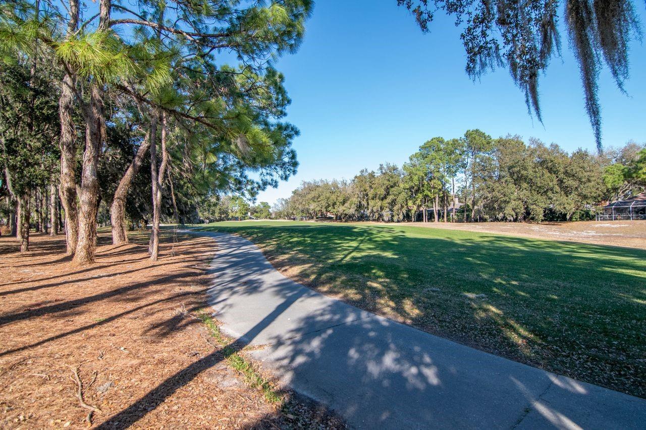 Listing photo id 49 for 3910 Turkey Oak Drive