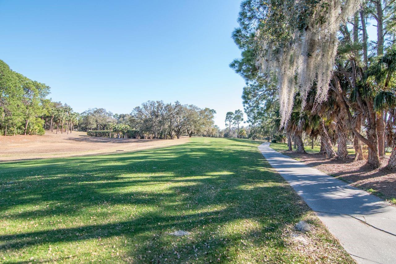 Listing photo id 50 for 3910 Turkey Oak Drive