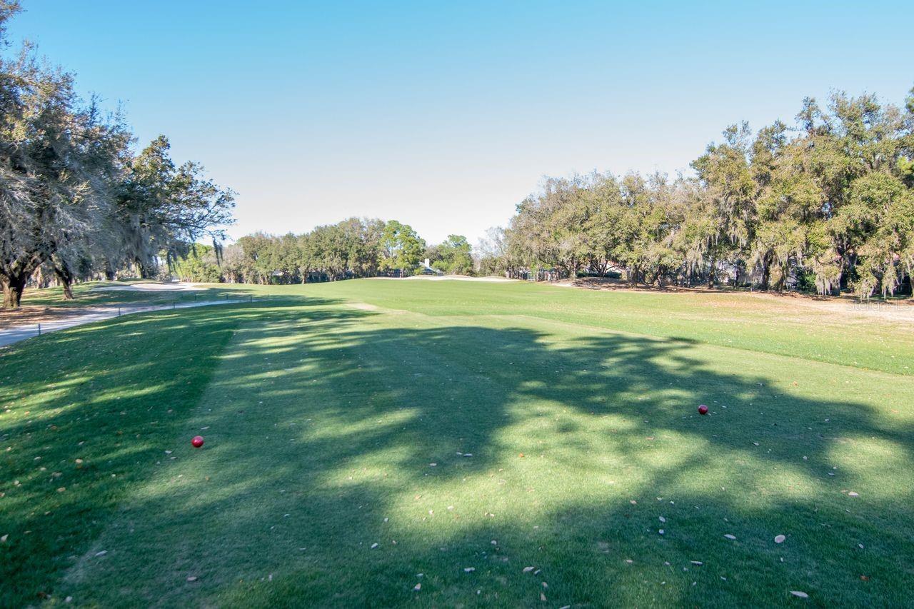 Listing photo id 51 for 3910 Turkey Oak Drive