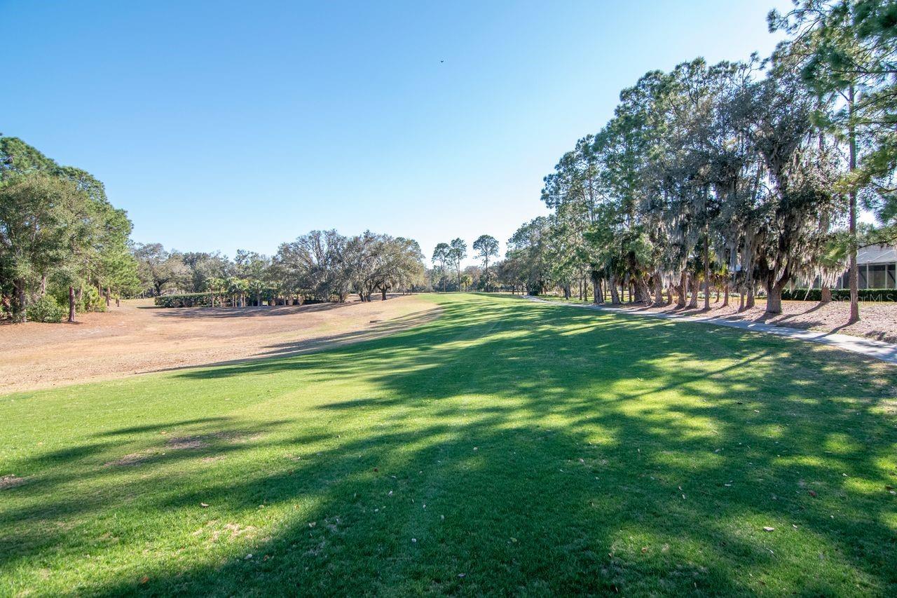 Listing photo id 52 for 3910 Turkey Oak Drive