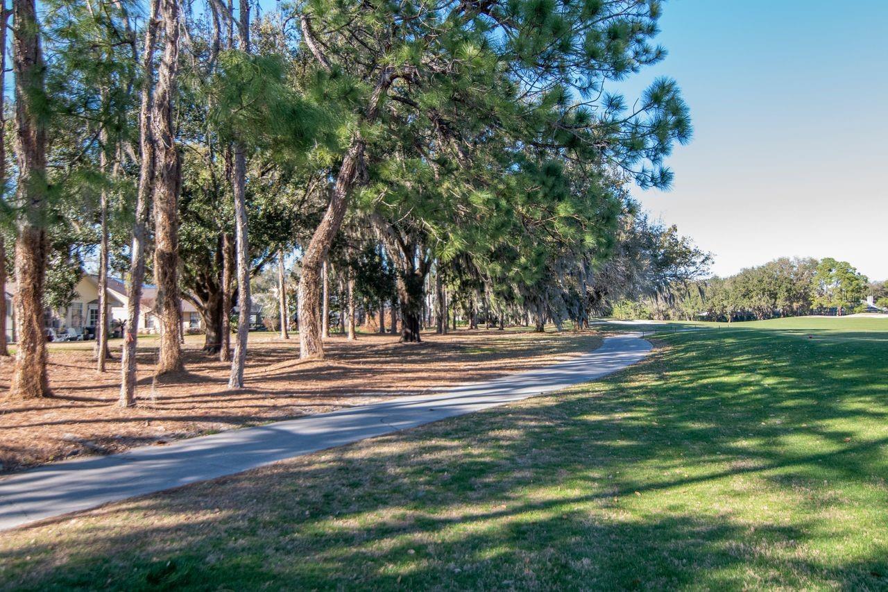 Listing photo id 53 for 3910 Turkey Oak Drive