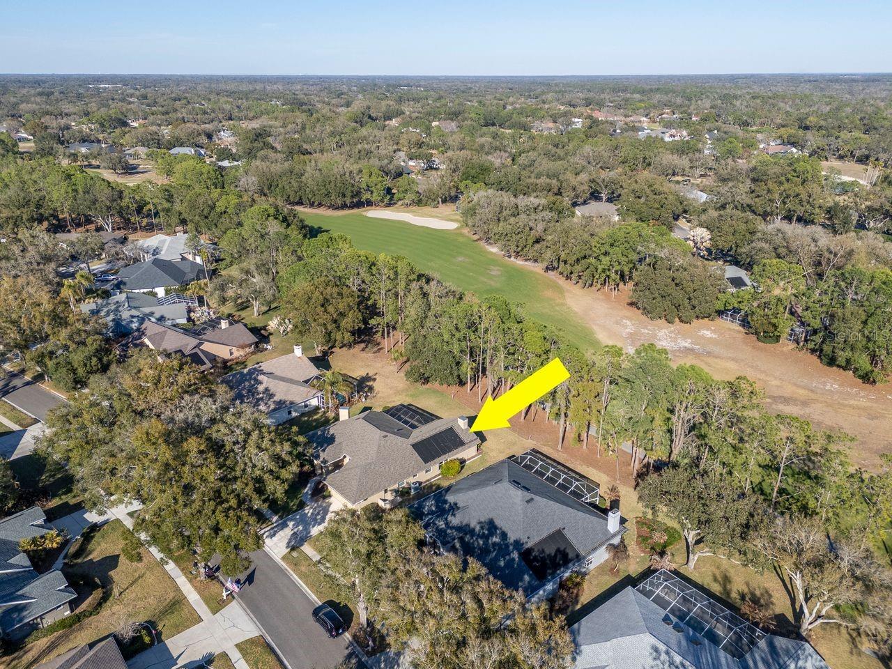 Listing photo id 55 for 3910 Turkey Oak Drive