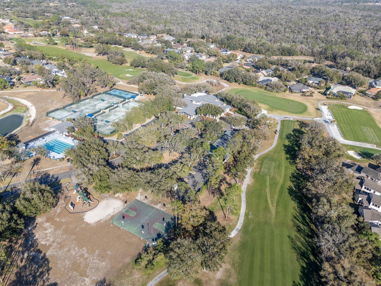 Listing photo id 59 for 3910 Turkey Oak Drive