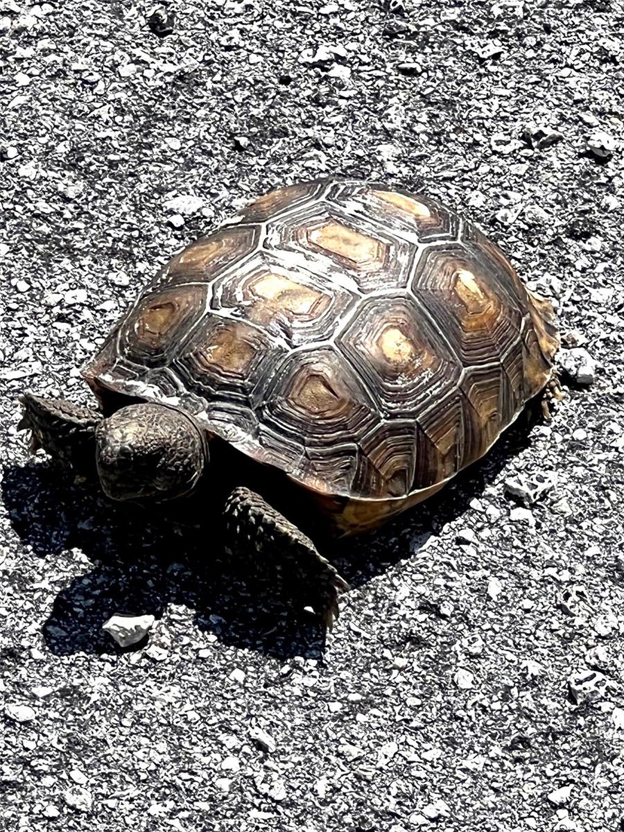 Image 22 of 32 For 11201 122nd Avenue 197