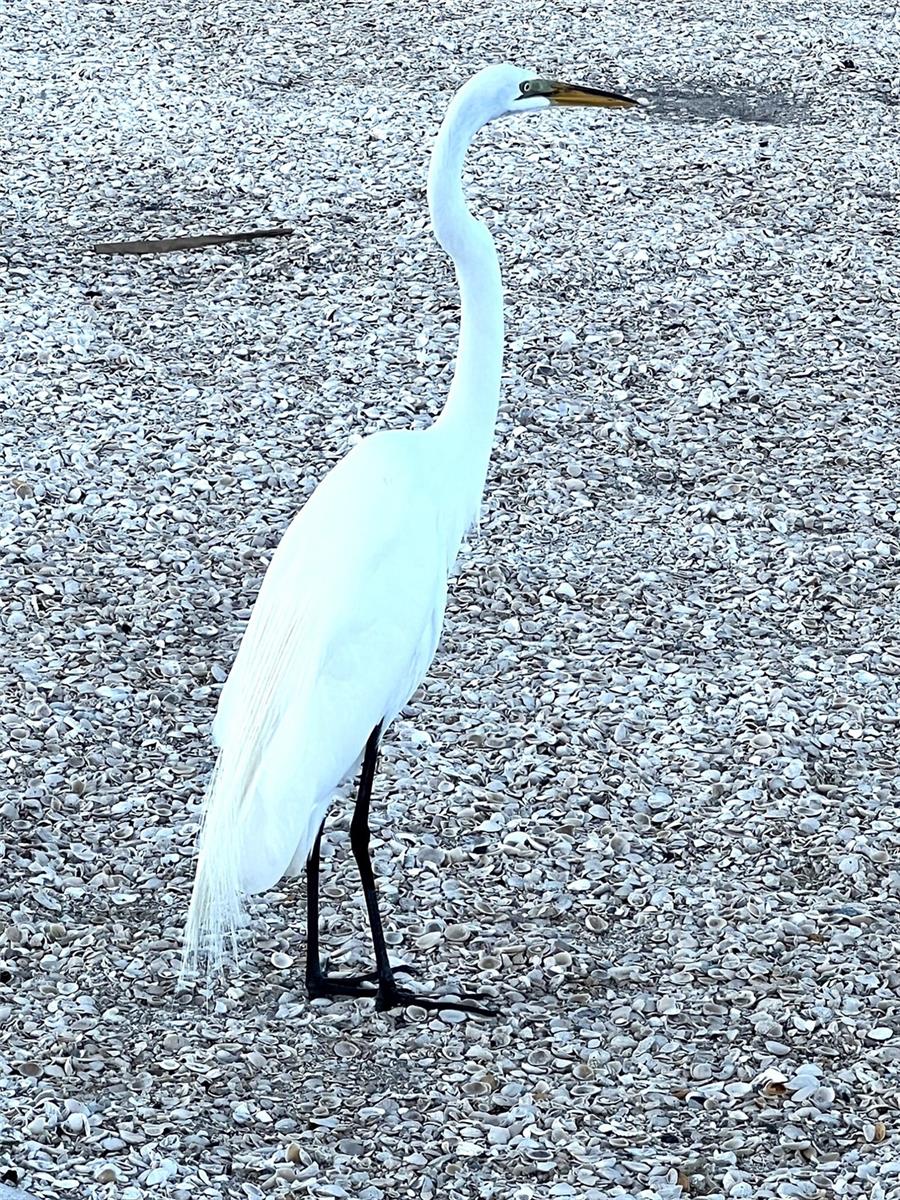 Image 23 of 32 For 11201 122nd Avenue 197