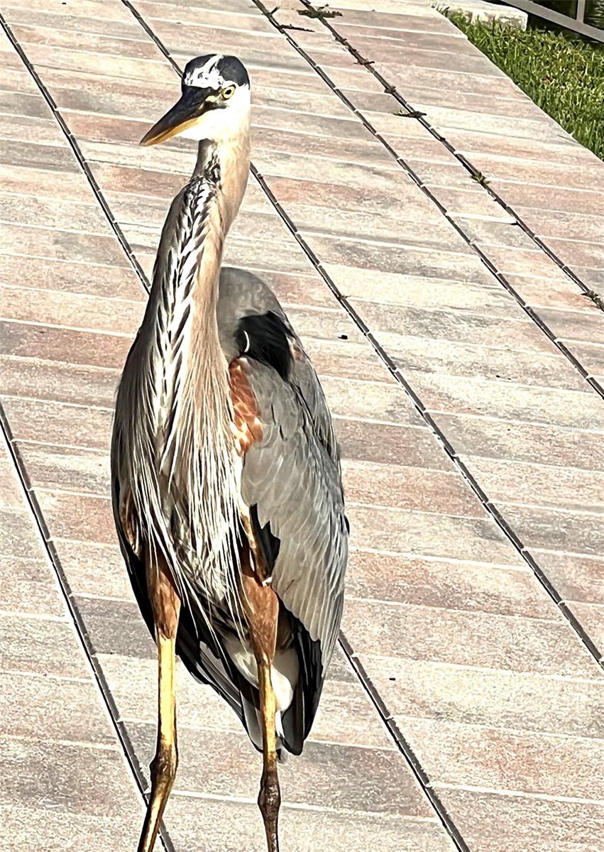 Image 24 of 32 For 11201 122nd Avenue 197