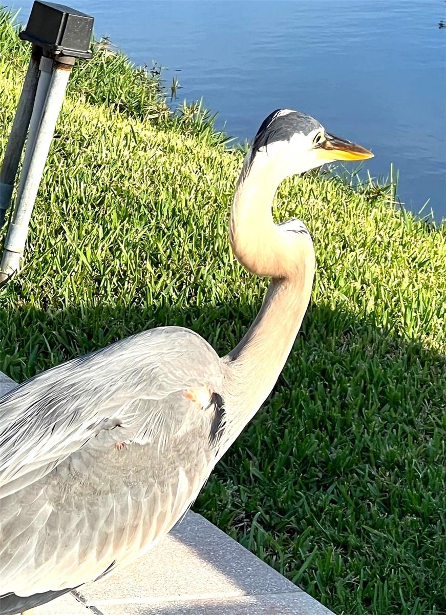 Image 25 of 32 For 11201 122nd Avenue 197