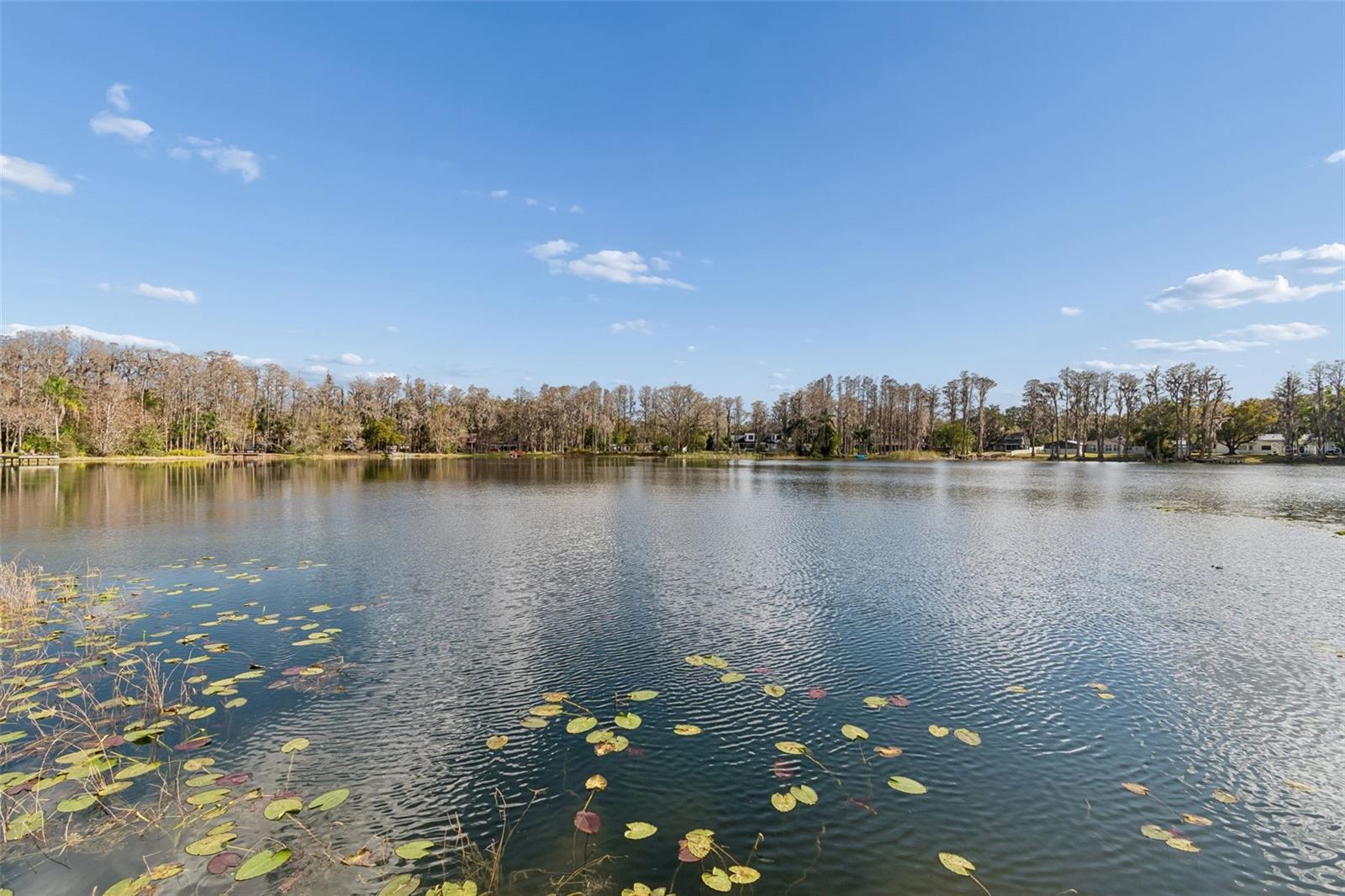 Image 4 of 100 For 3812 Little Road