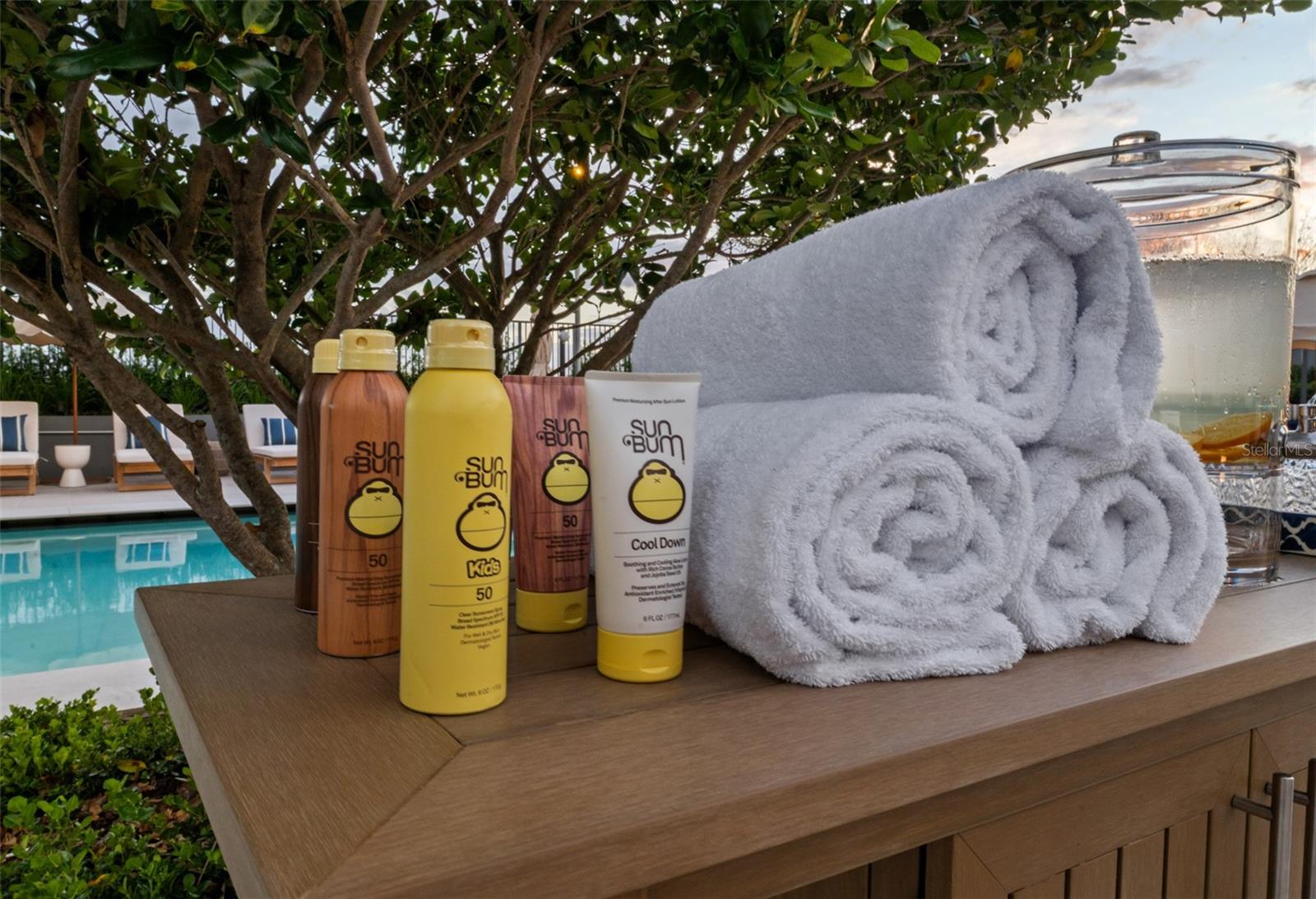 Image 65 of 95 For 3015 Ysabella Avenue 1803