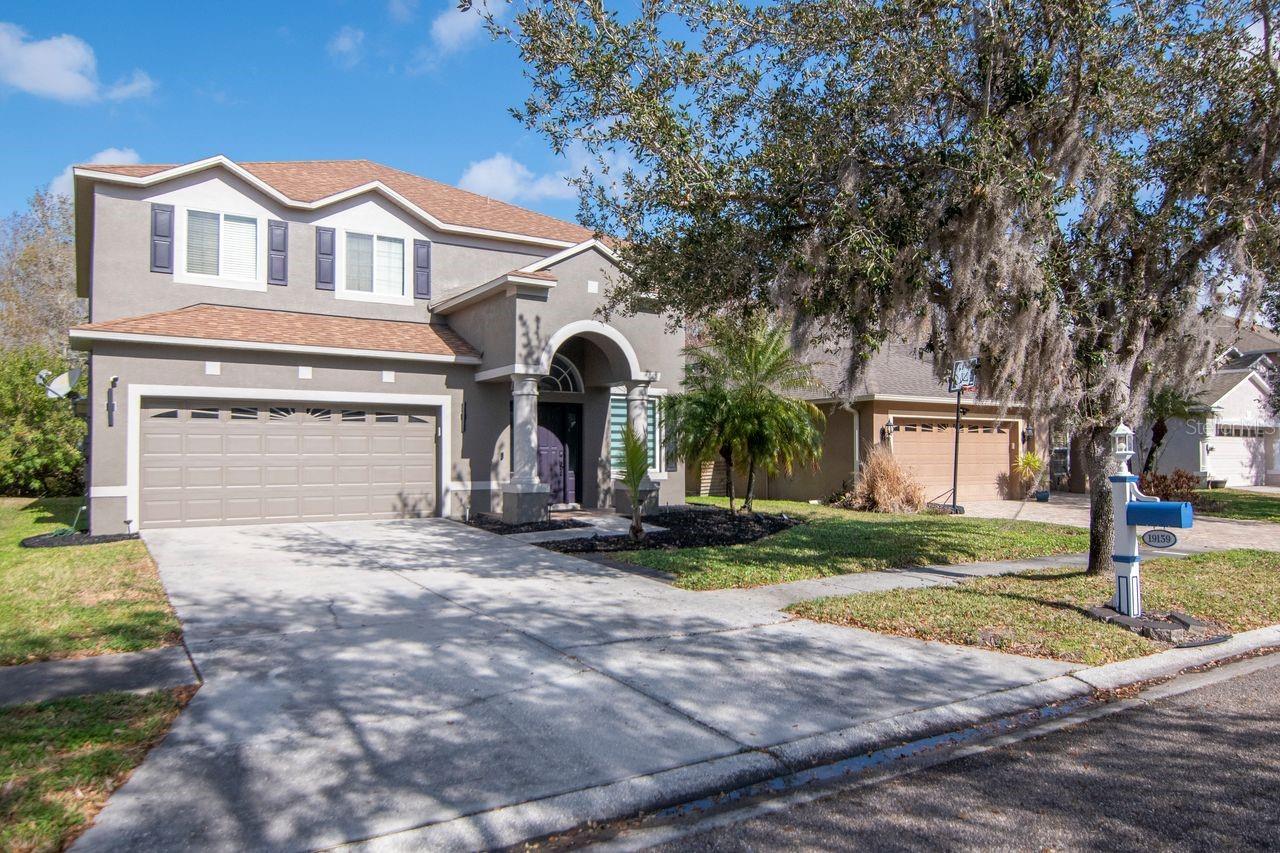 Details for 19159 Cypress Green Drive, LUTZ, FL 33558