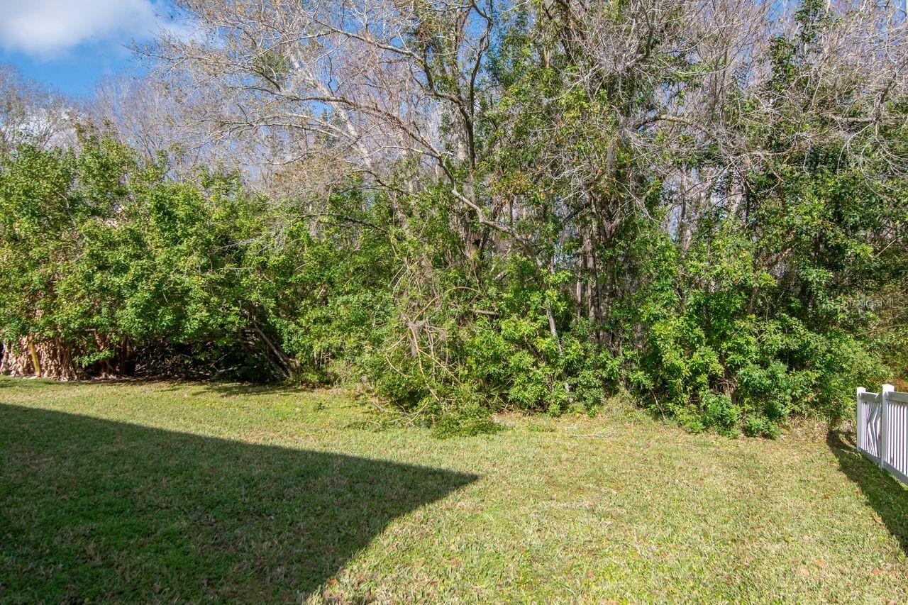 Image 38 of 49 For 19159 Cypress Green Drive