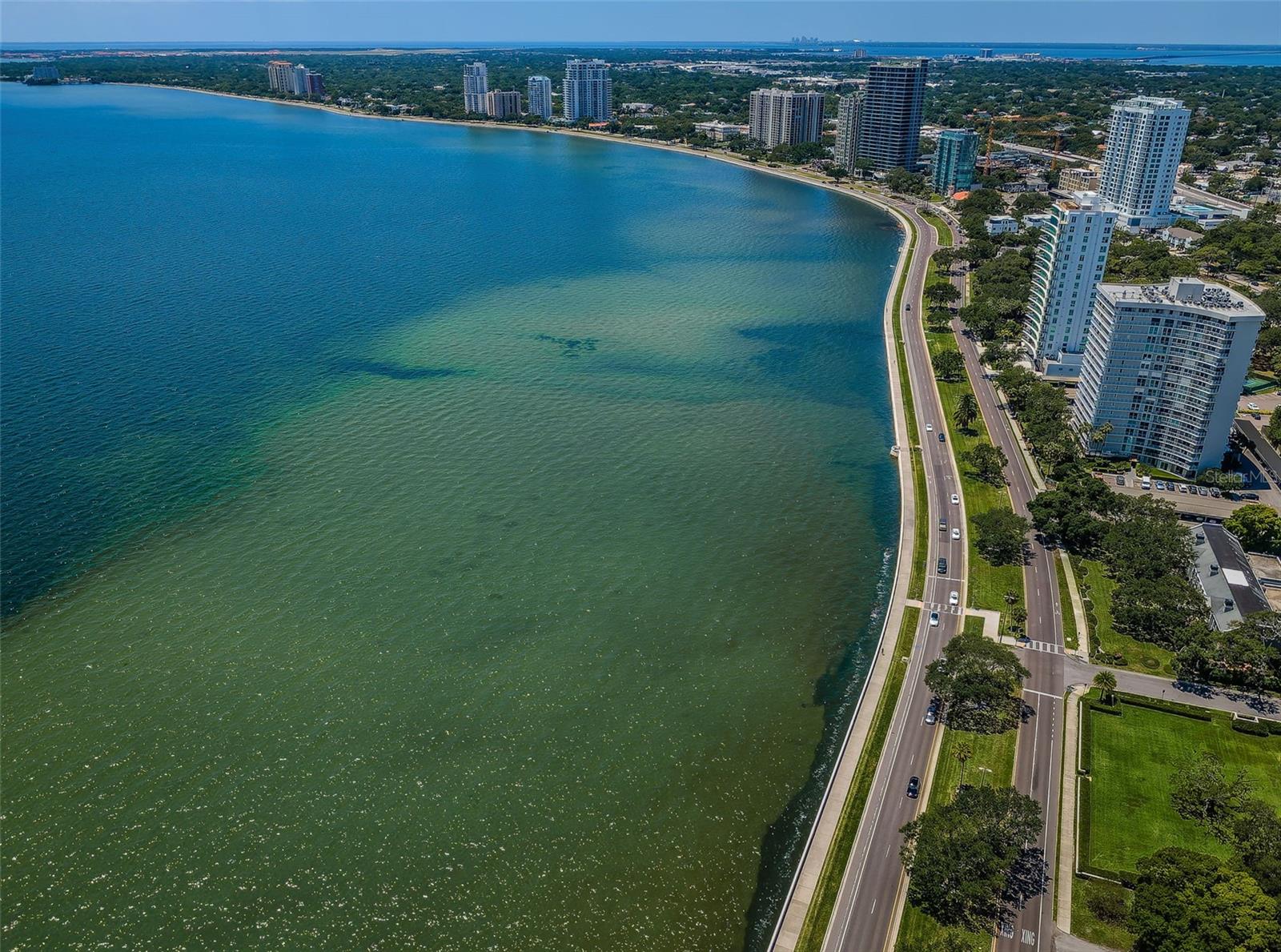 Image 23 of 29 For 4811 Bayshore Boulevard 203