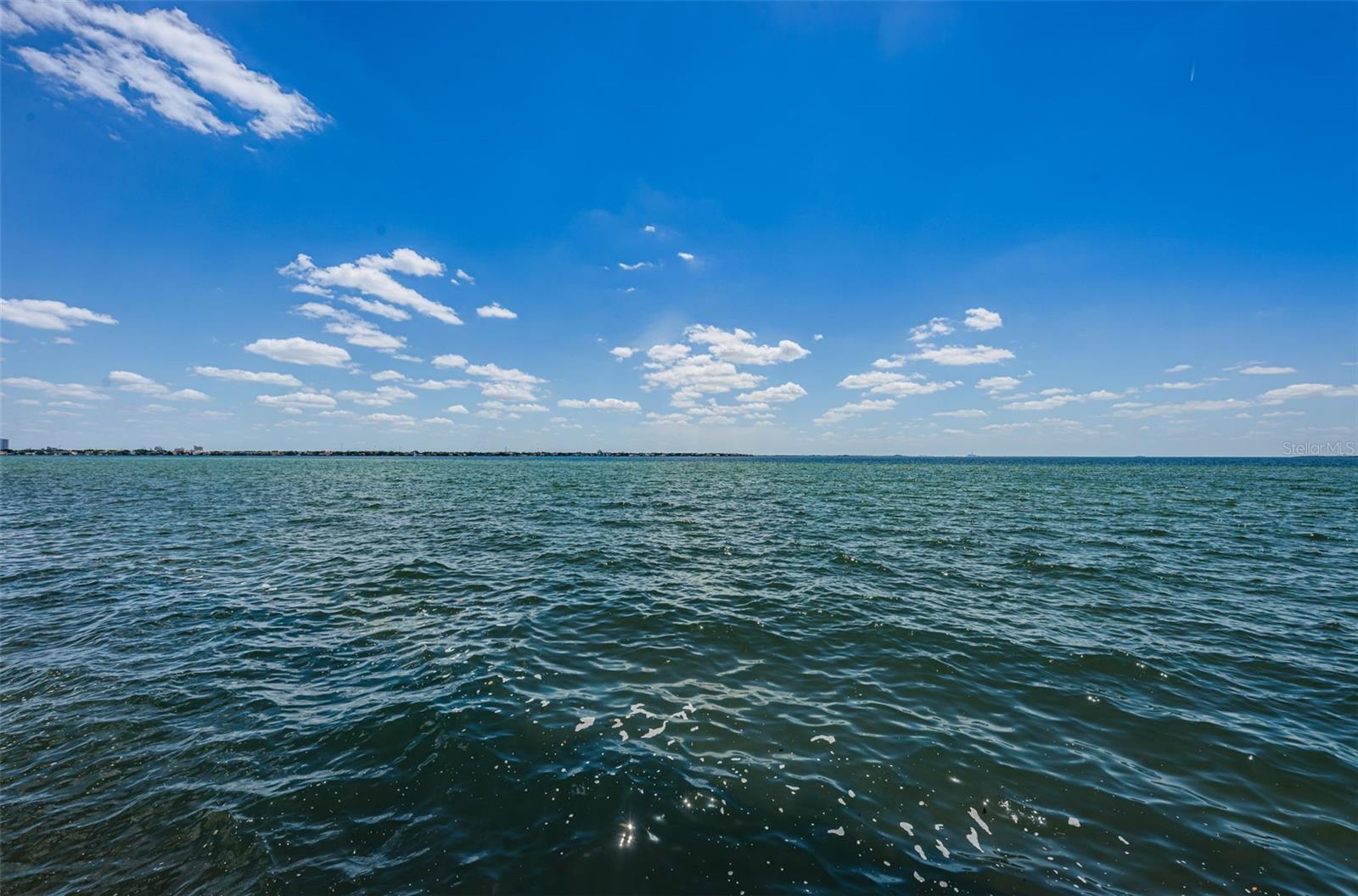 Image 28 of 29 For 4811 Bayshore Boulevard 203